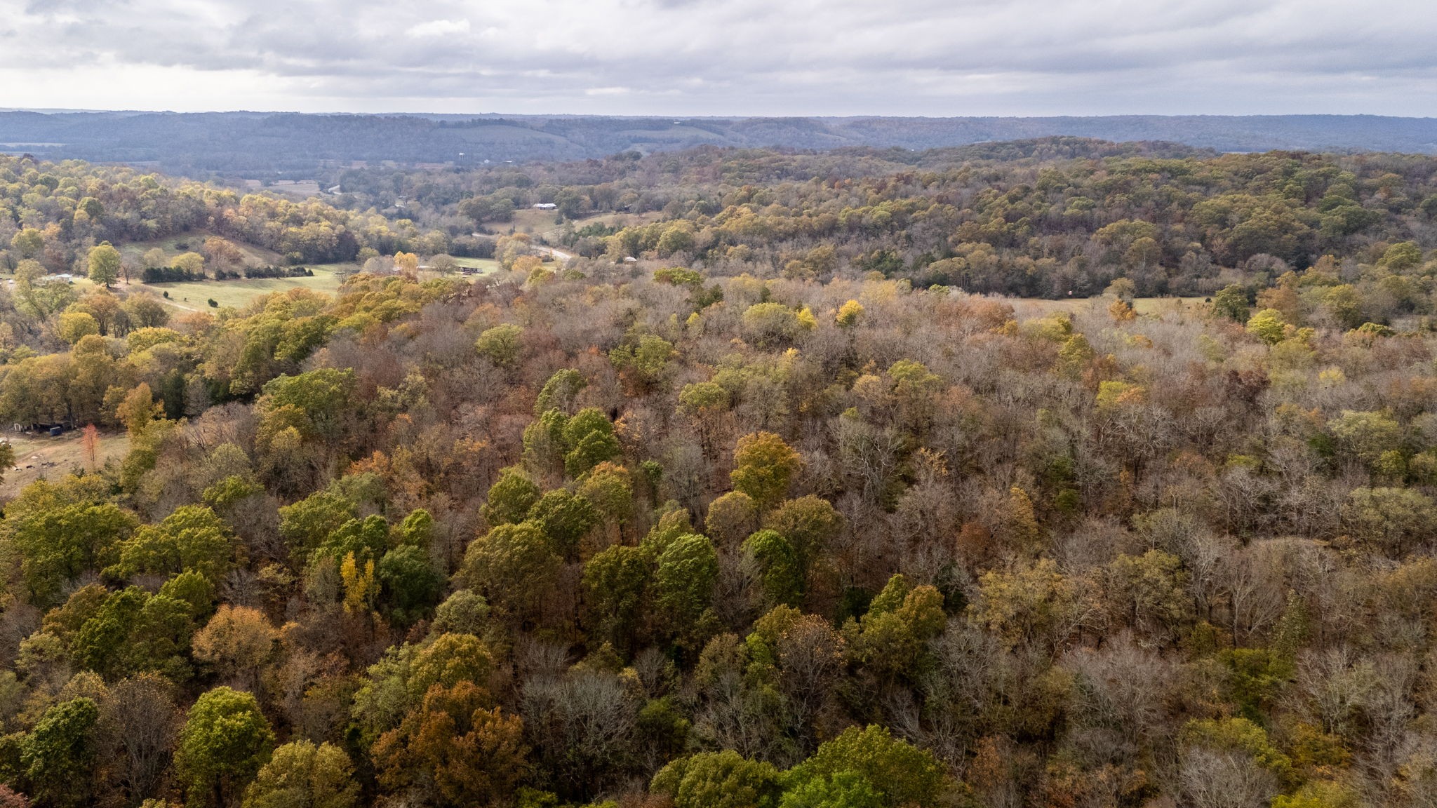 475 Old Elkton Pike Property Photo 3