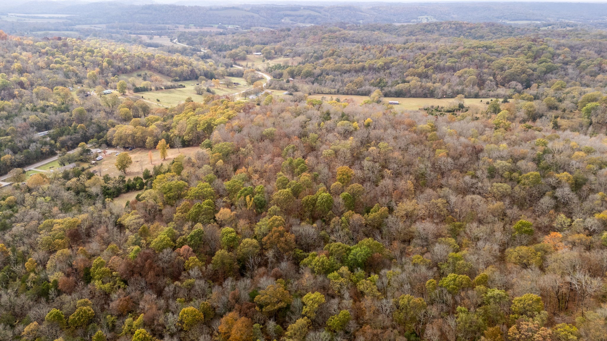 475 Old Elkton Pike Property Photo 6
