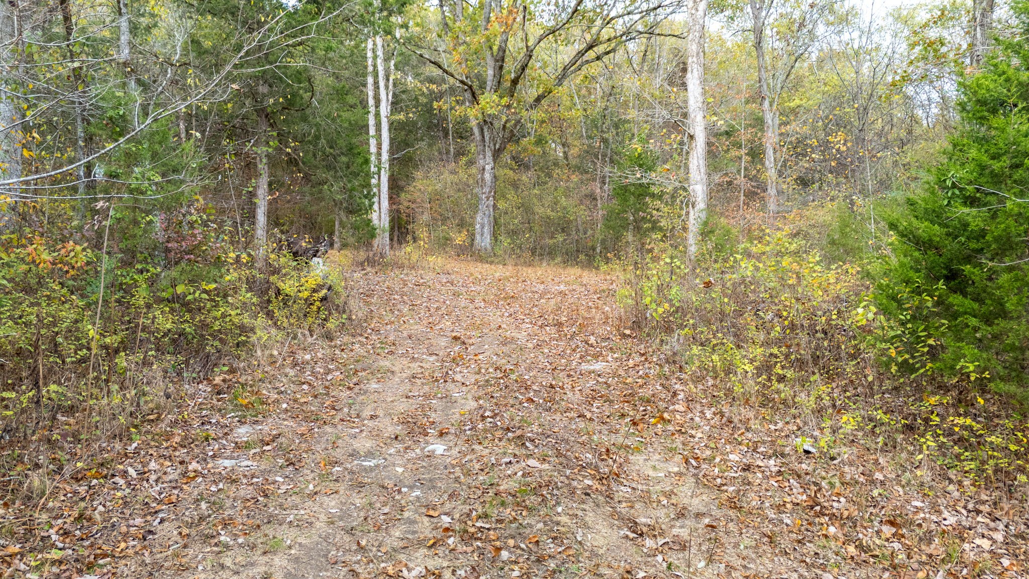 475 Old Elkton Pike Property Photo 8