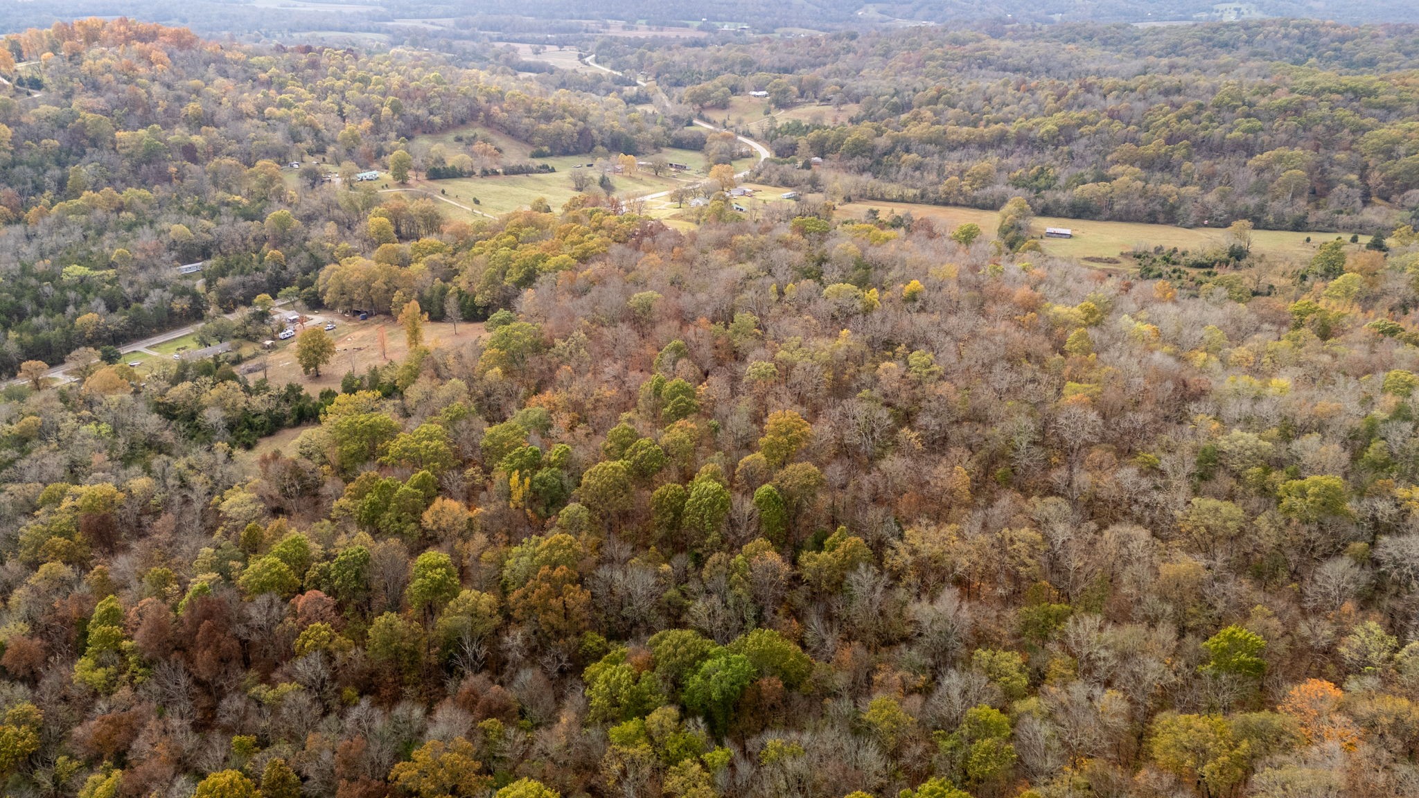 475 Old Elkton Pike Property Photo 17