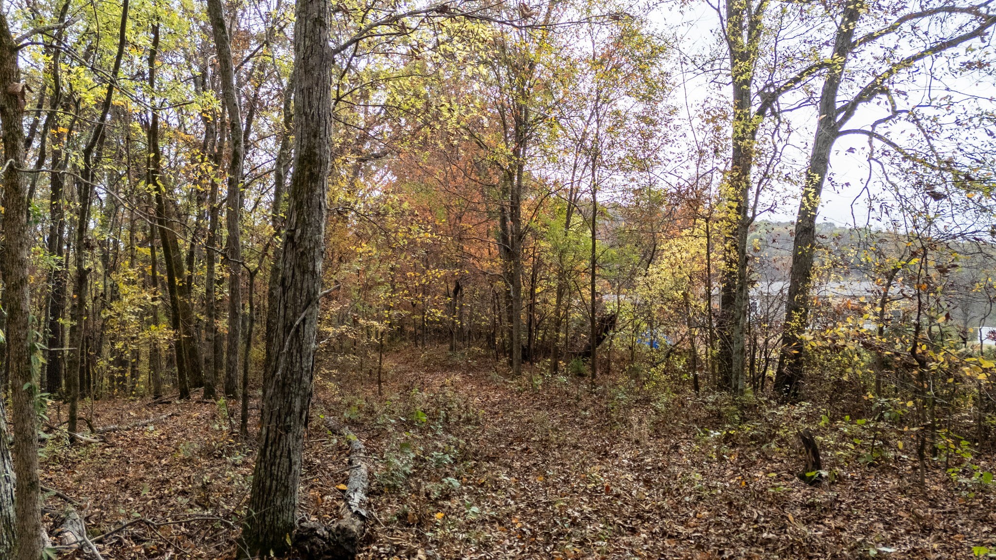 475 Old Elkton Pike Property Photo 18