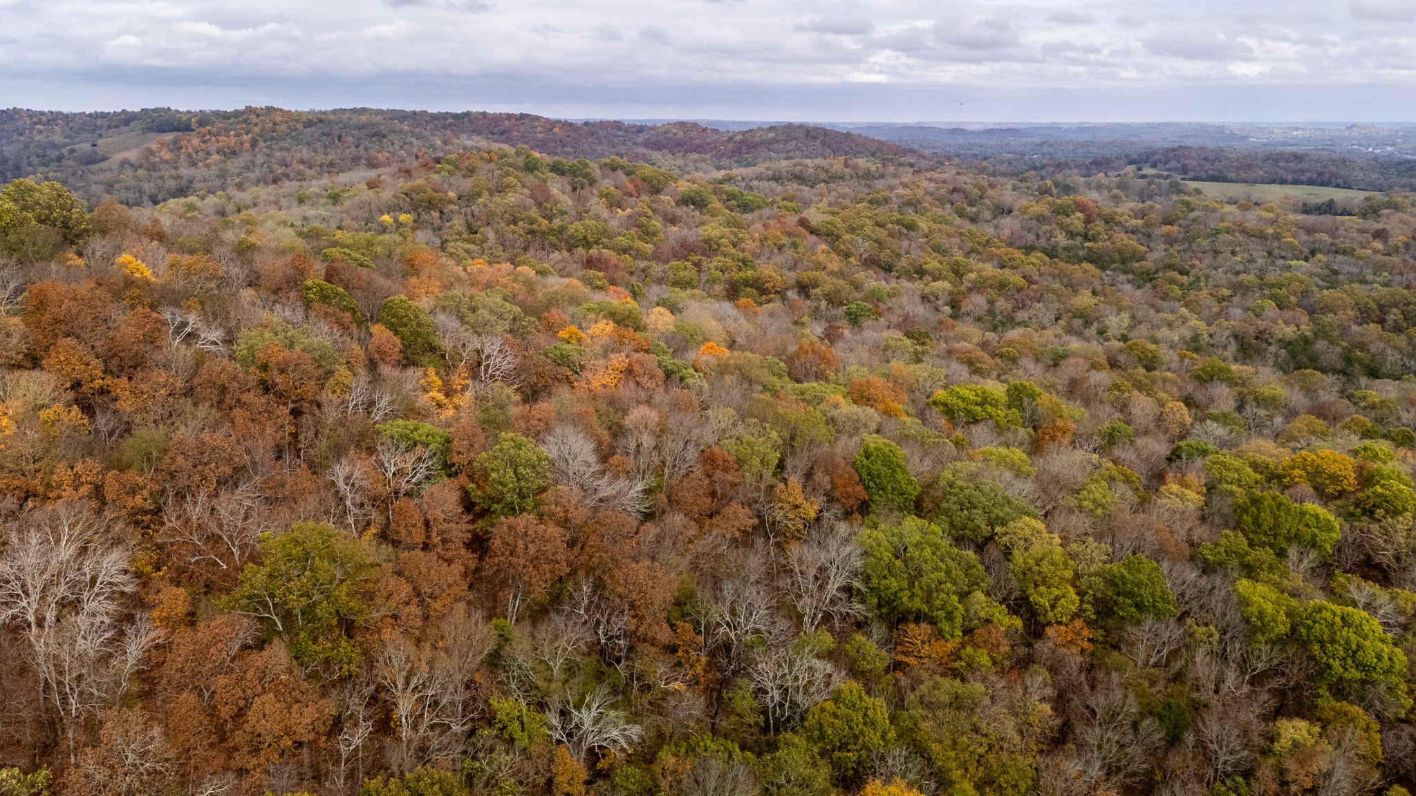 475 Old Elkton Pike Property Photo 21