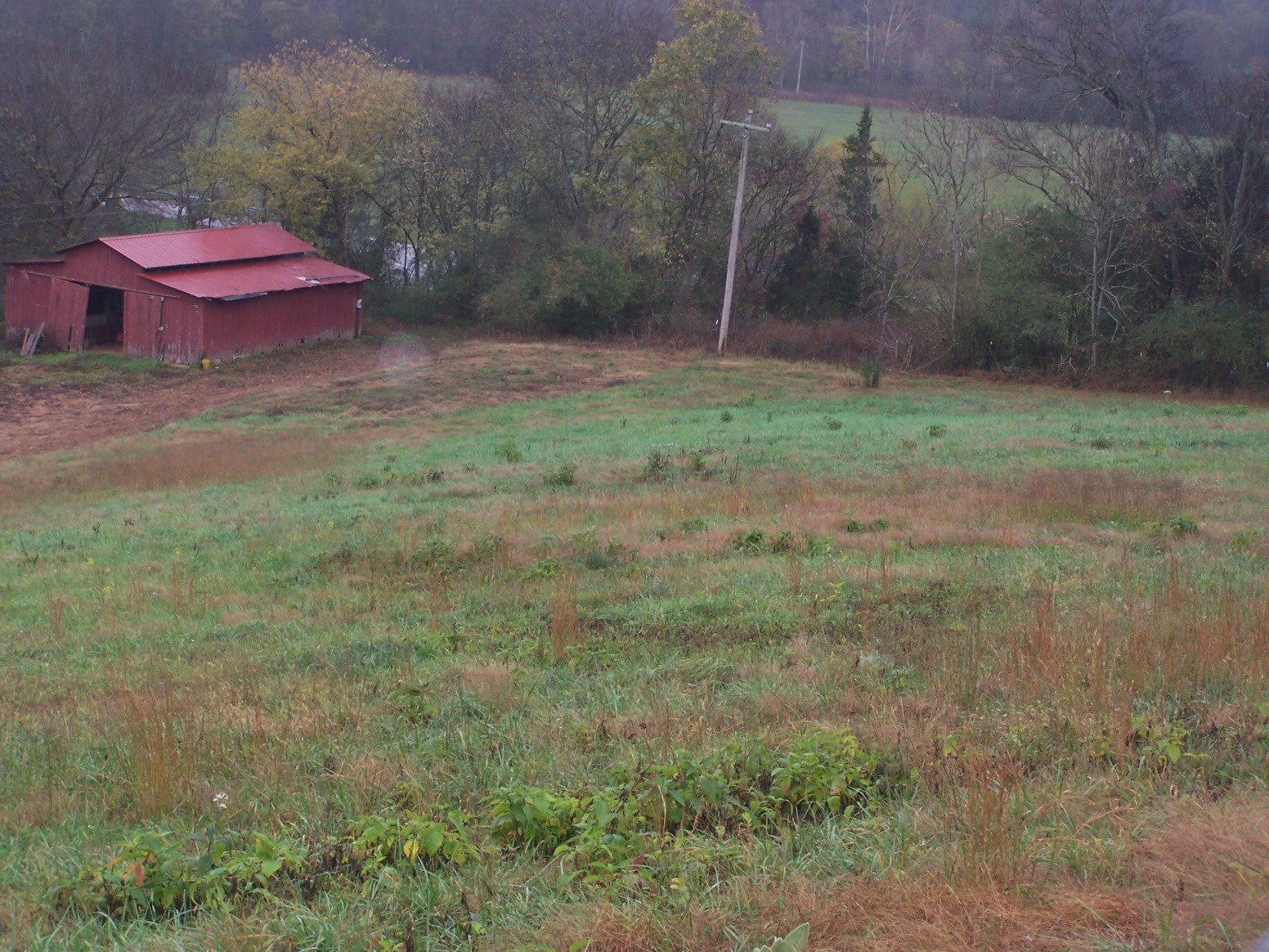 0 Campbellsville Rd Property Photo 1