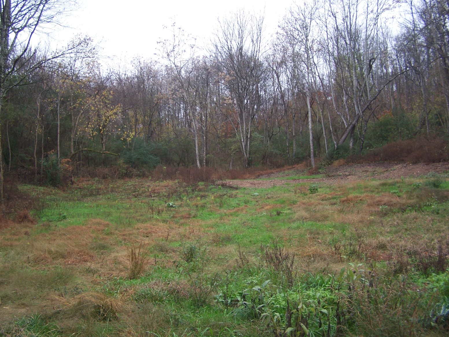0 Campbellsville Rd Property Photo 10