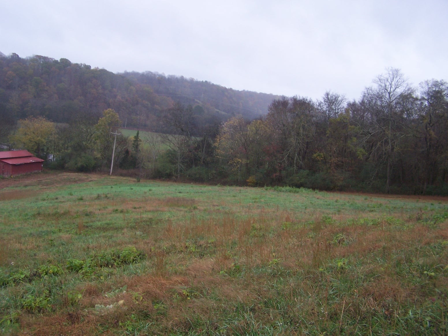0 Campbellsville Rd Property Photo 17