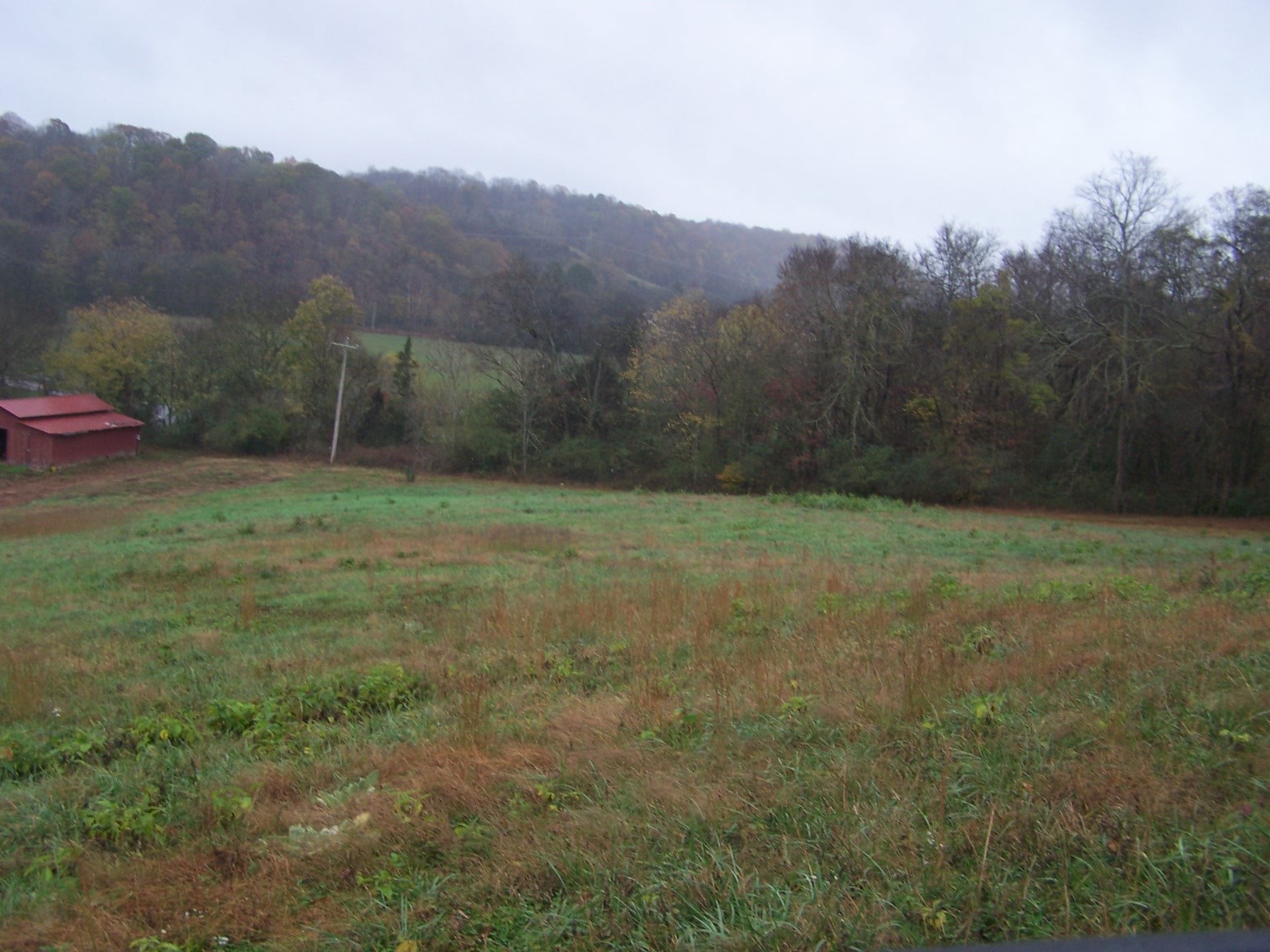 0 Campbellsville Rd Property Photo 18