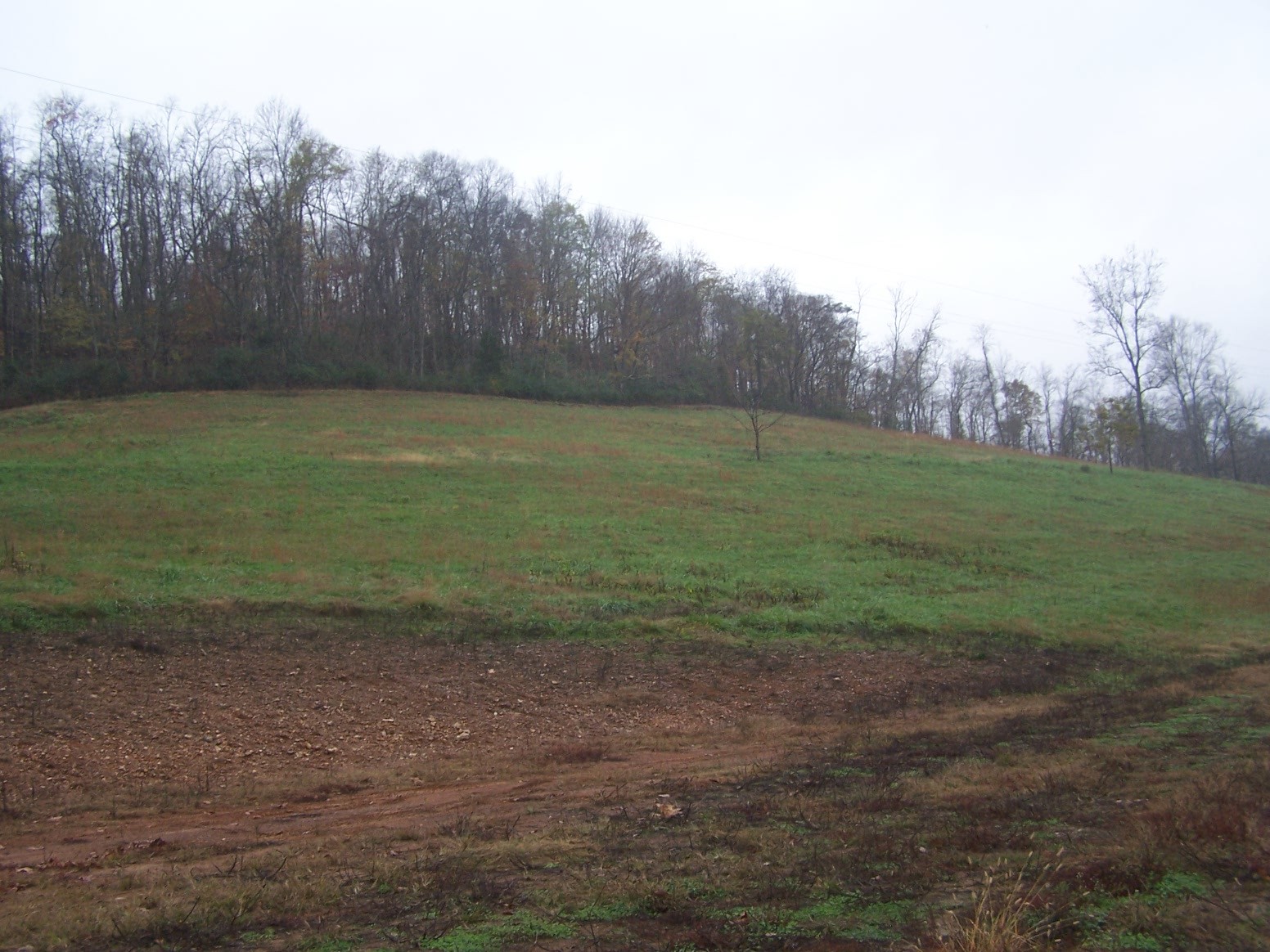 0 Campbellsville Rd Property Photo 22