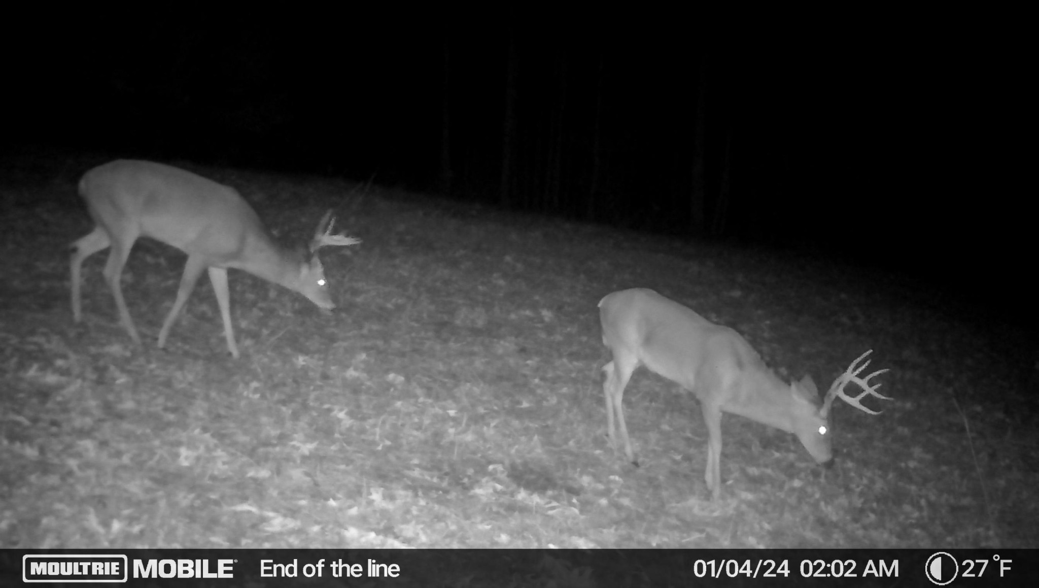 0 Hwy 100 W Property Photo 14
