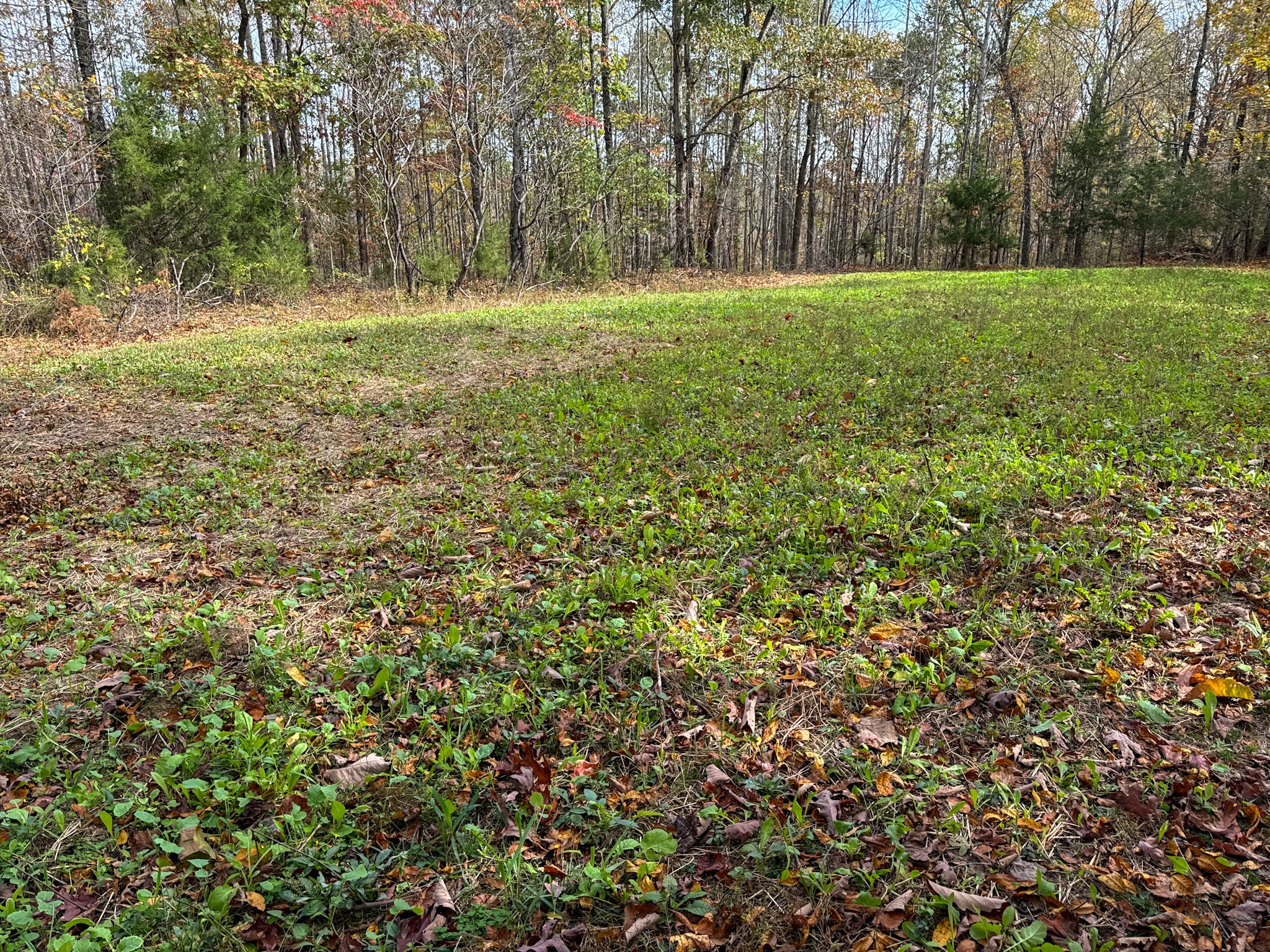 0 Hwy 100 W Property Photo 38