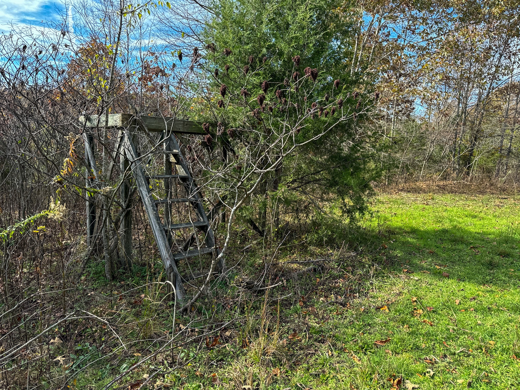 0 Hwy 100 W Property Photo 39