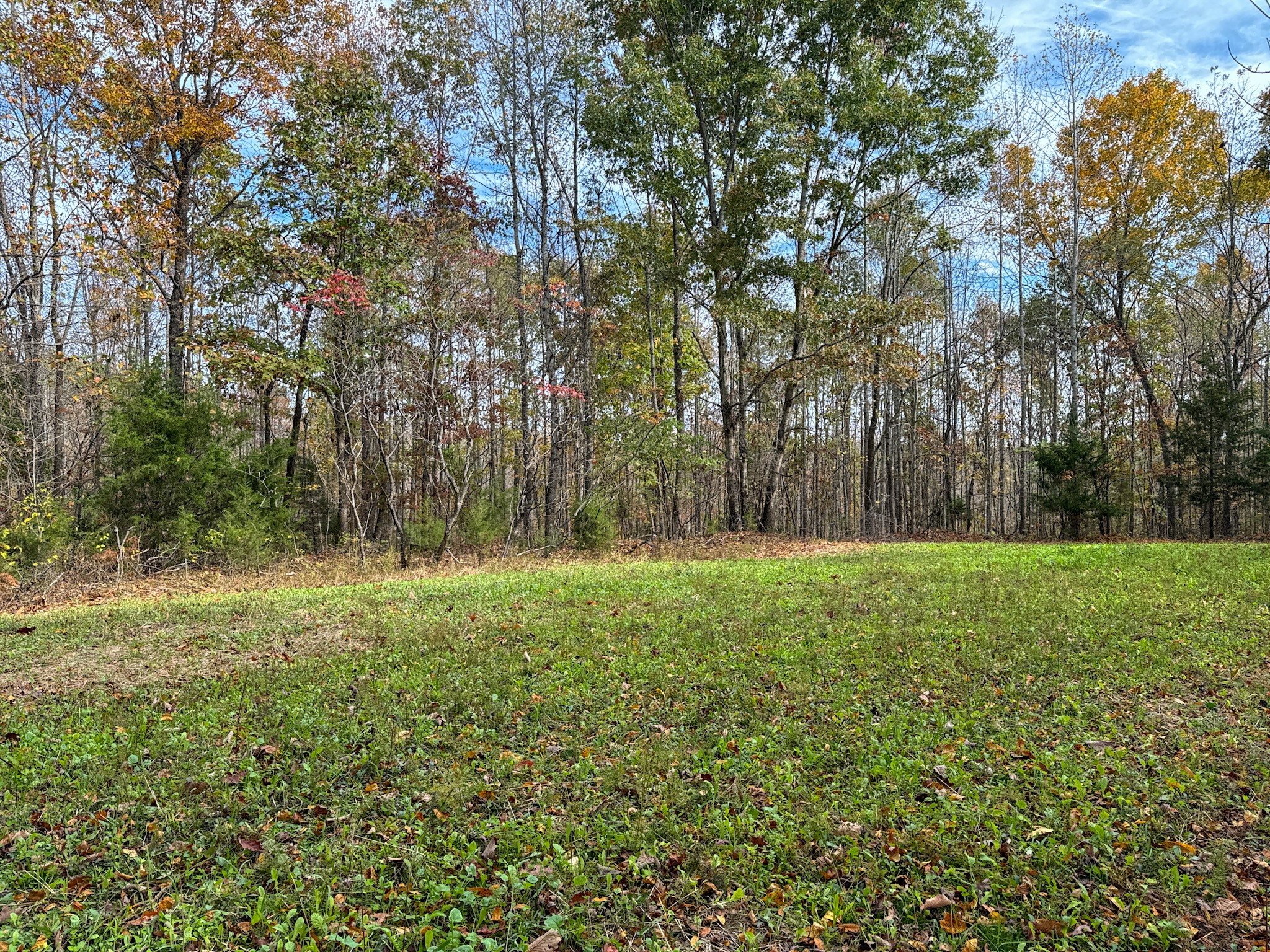0 Hwy 100 W Property Photo 41