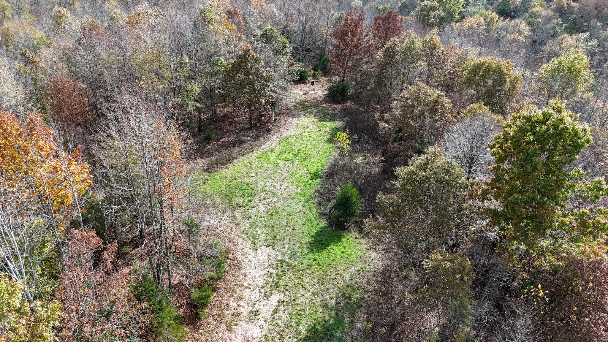 0 Hwy 100 W Property Photo 51