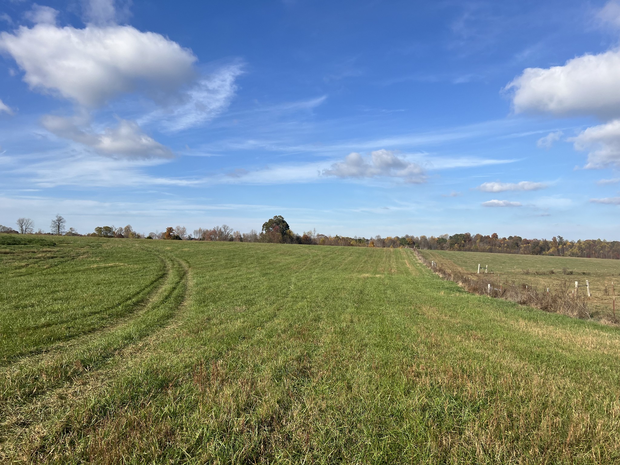 1234 Old Highway 52 Property Photo 2