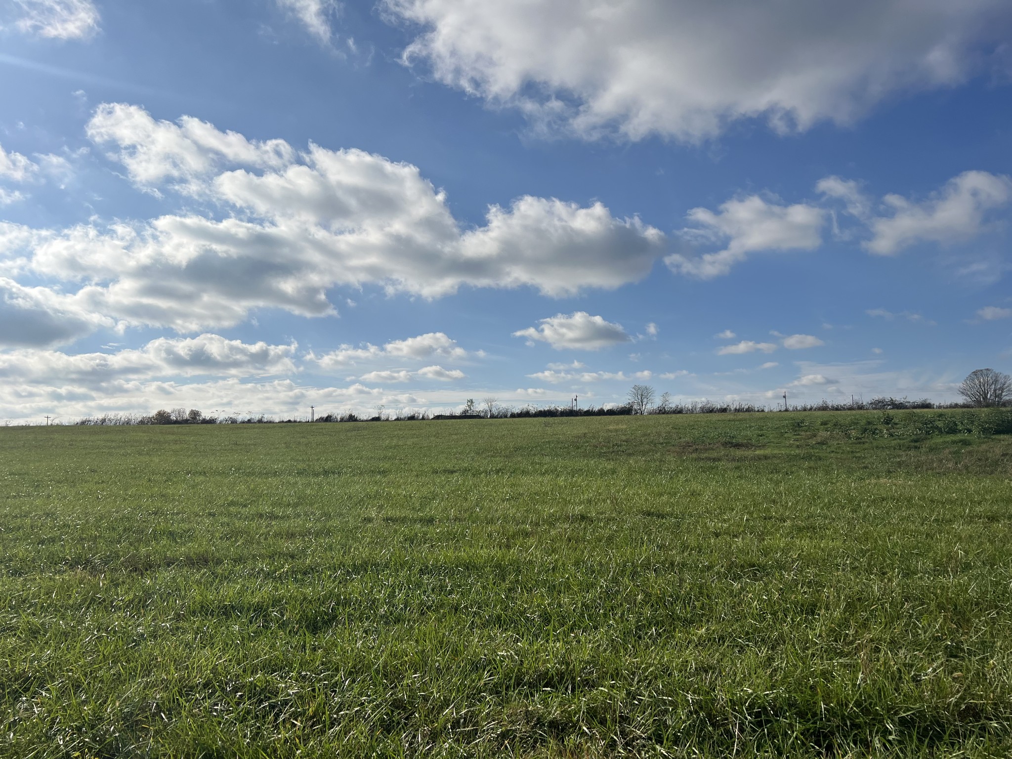 1234 Old Highway 52 Property Photo 4