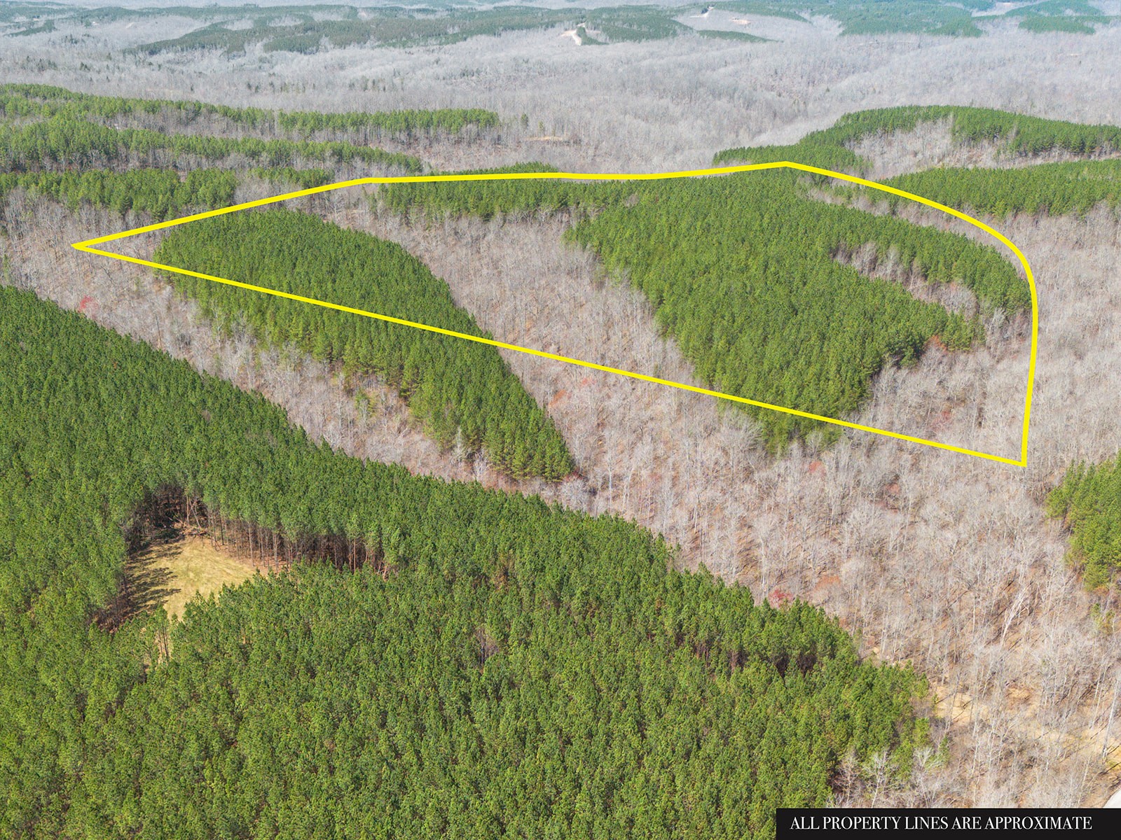 0 Cotton Branch Rd 2a Property Photo 7