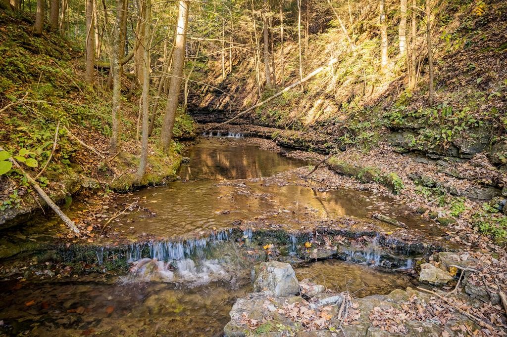 1050 Pine Creek Falls Rd Property Photo 12