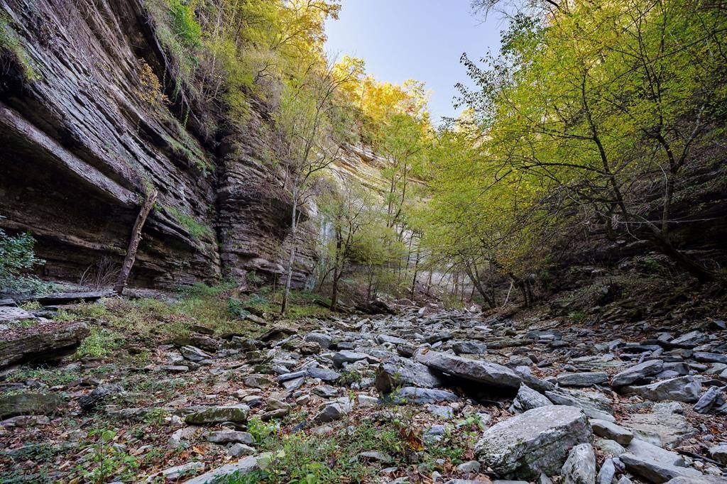 1050 Pine Creek Falls Rd Property Photo 91
