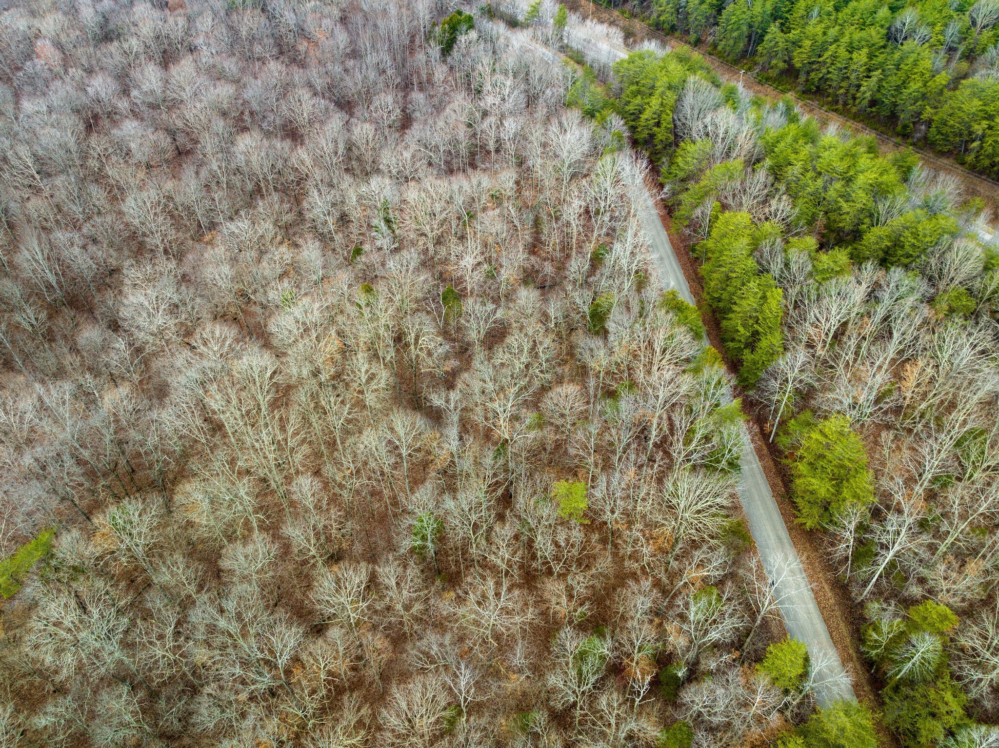 120 Old Highway 96 Property Photo 13