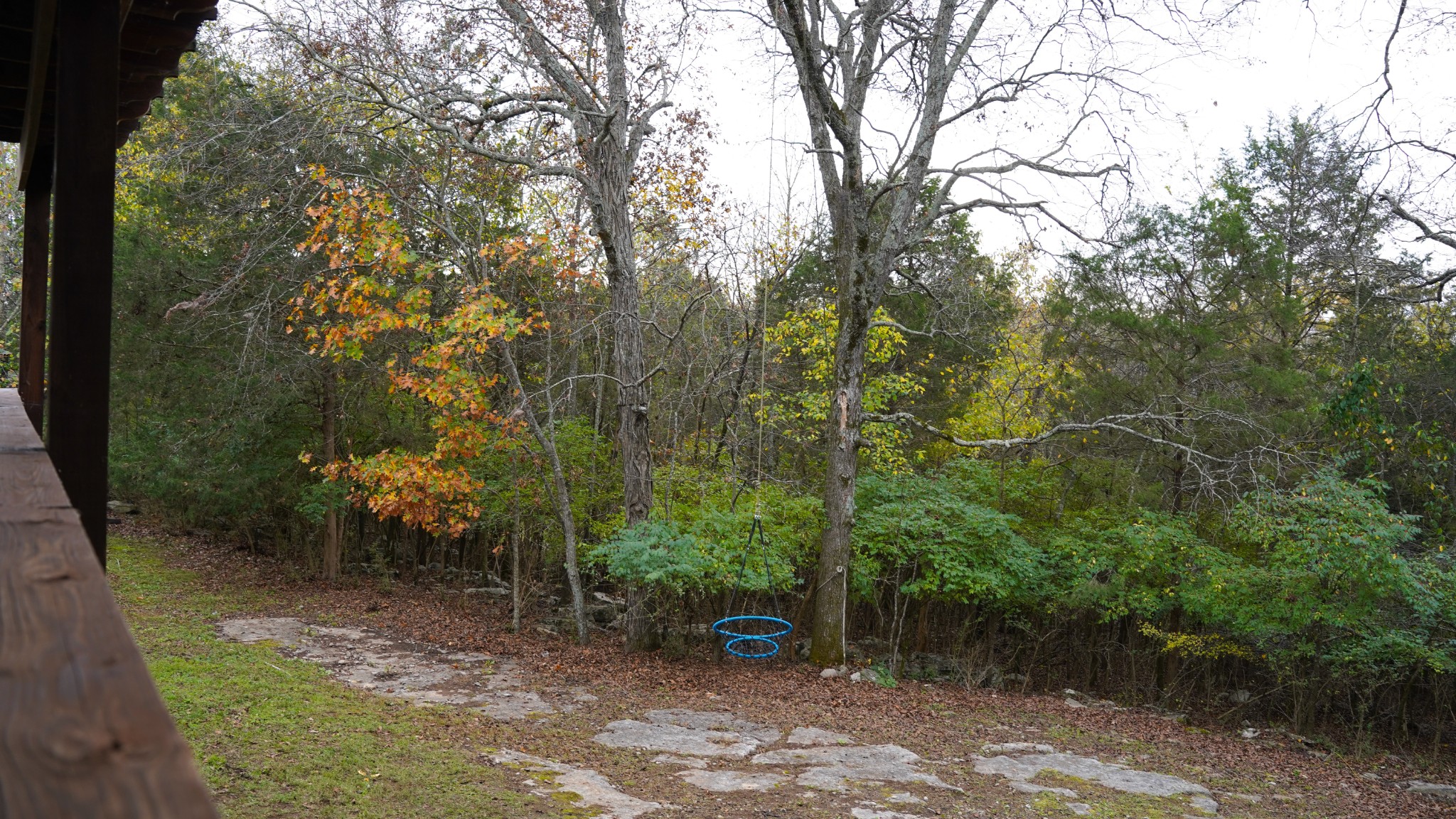 8130 Saundersville Rd Property Photo 34