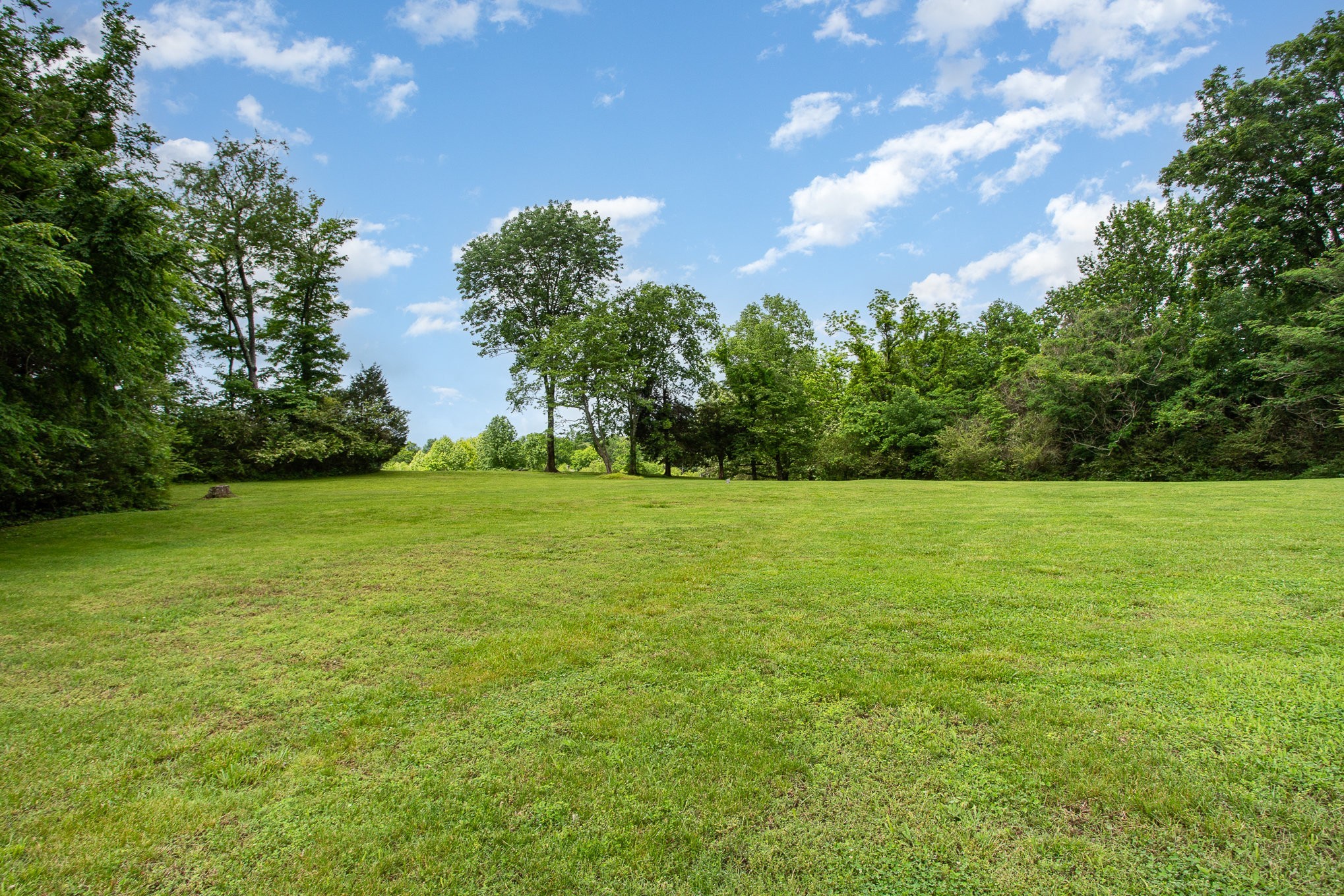 884 Pinnacle Hill Rd Property Photo 47