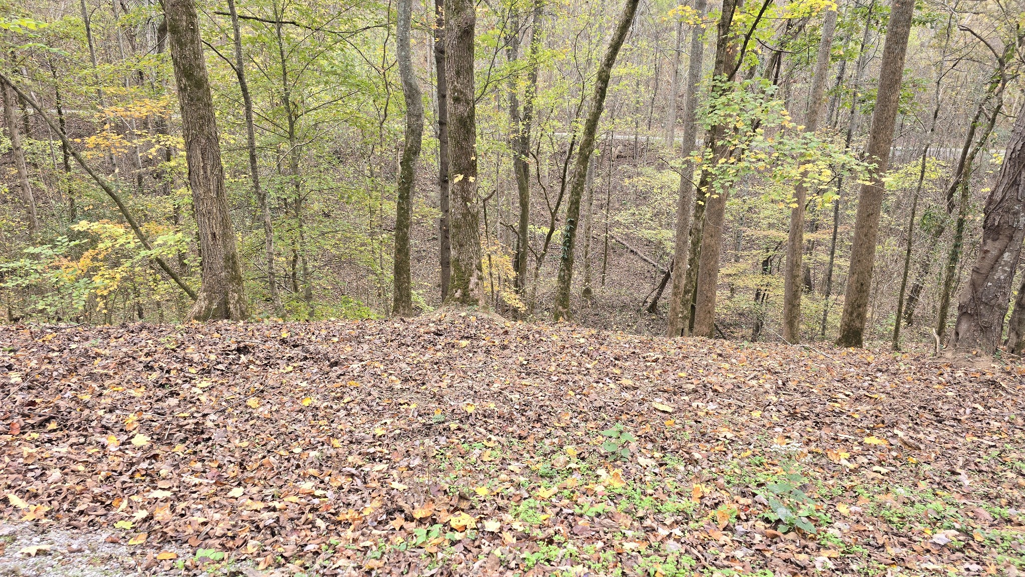 116 Lake View Dr Property Photo 11