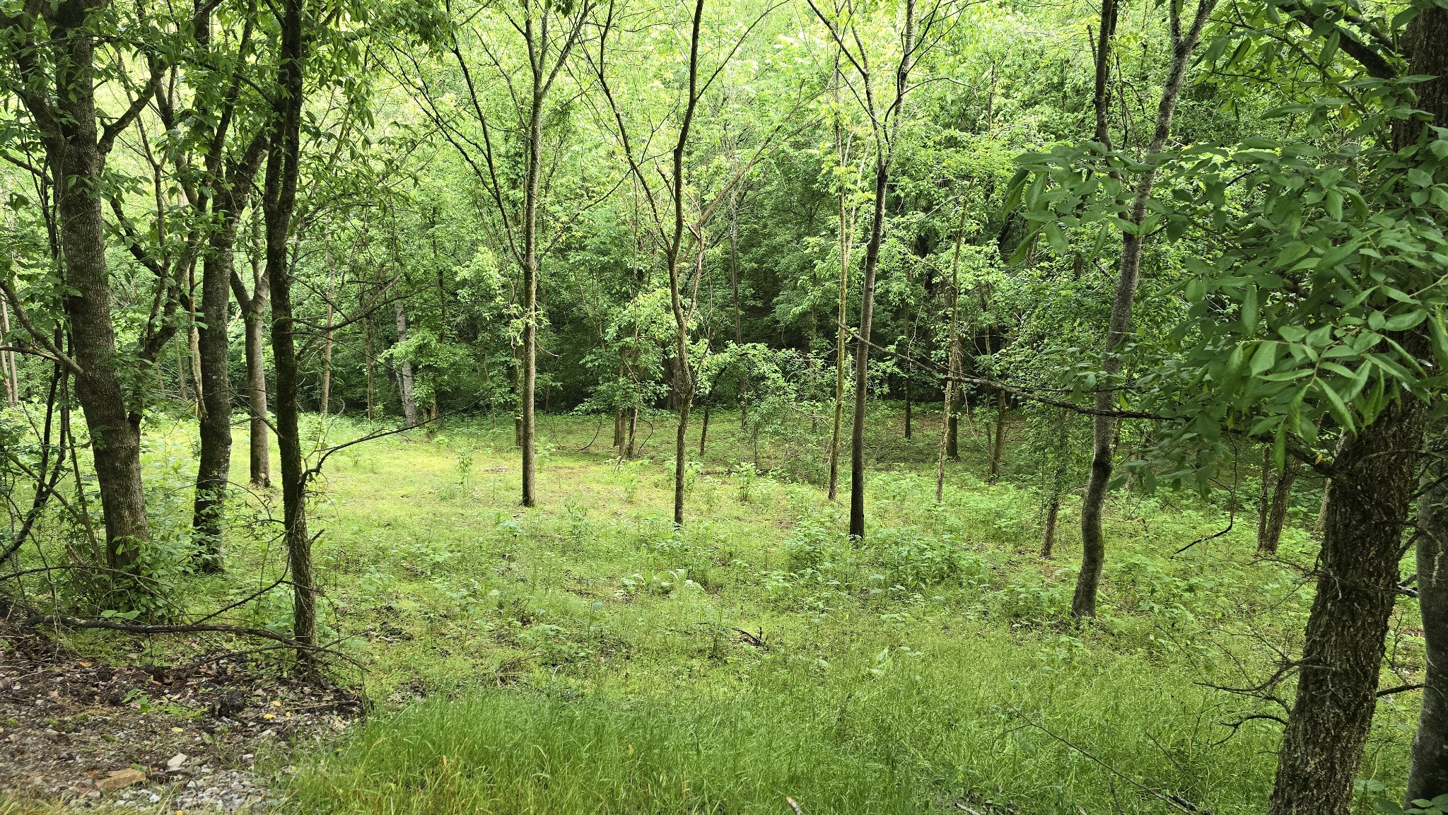85 Blackberry Ridge Way Property Photo 1