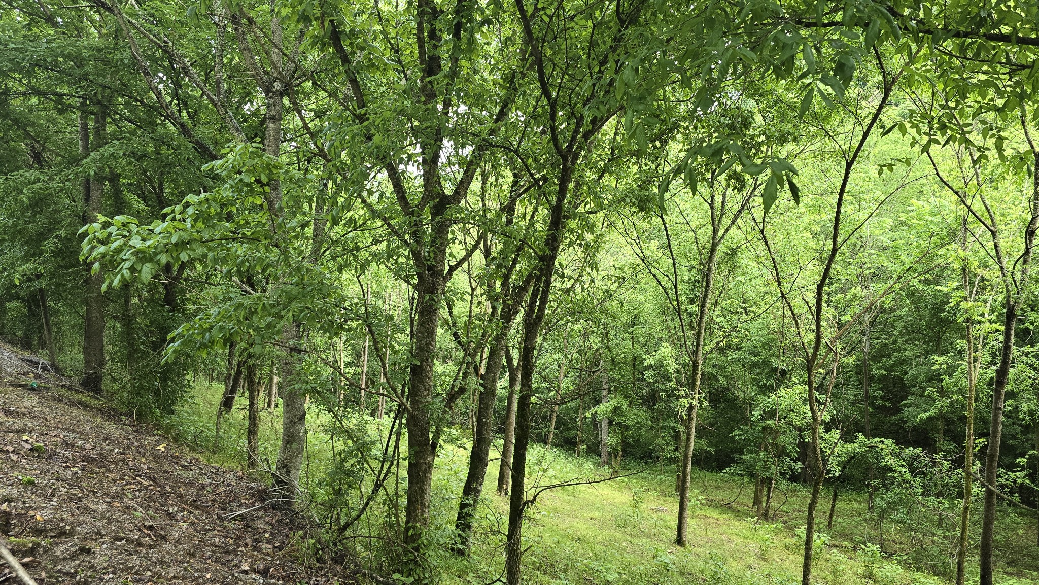 85 Blackberry Ridge Way Property Photo 2