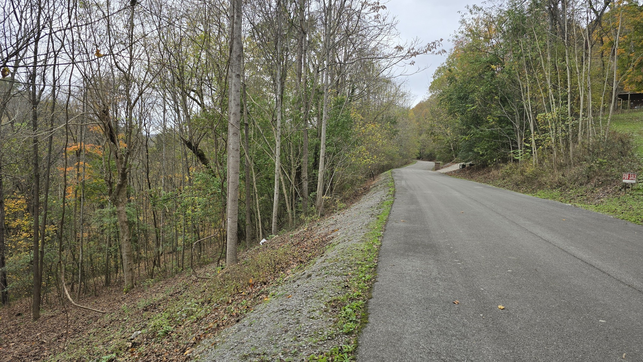 86 Blackberry Ridge Way Property Photo 6