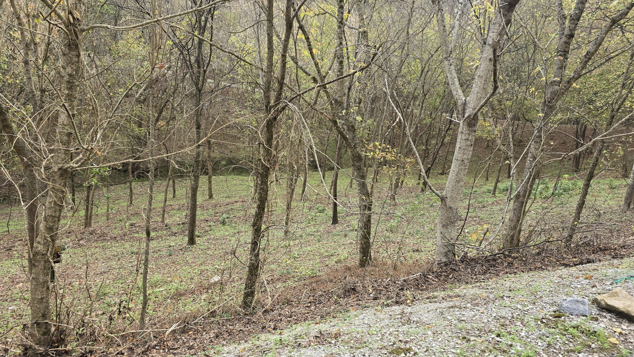 86 Blackberry Ridge Way Property Photo 7