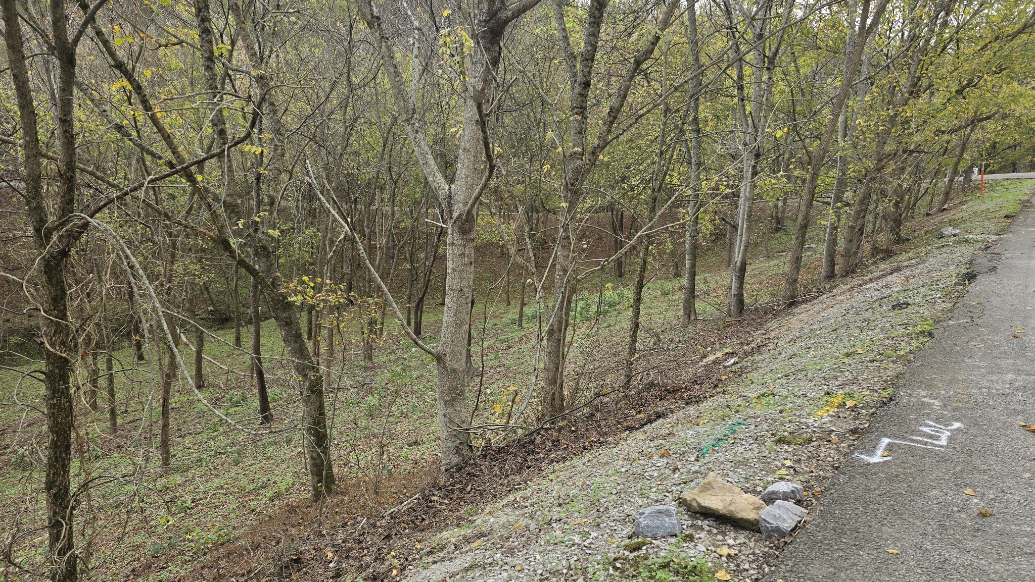 86 Blackberry Ridge Way Property Photo 8