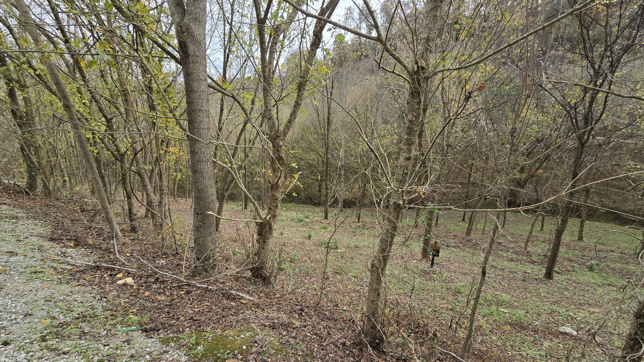 86 Blackberry Ridge Way Property Photo 9