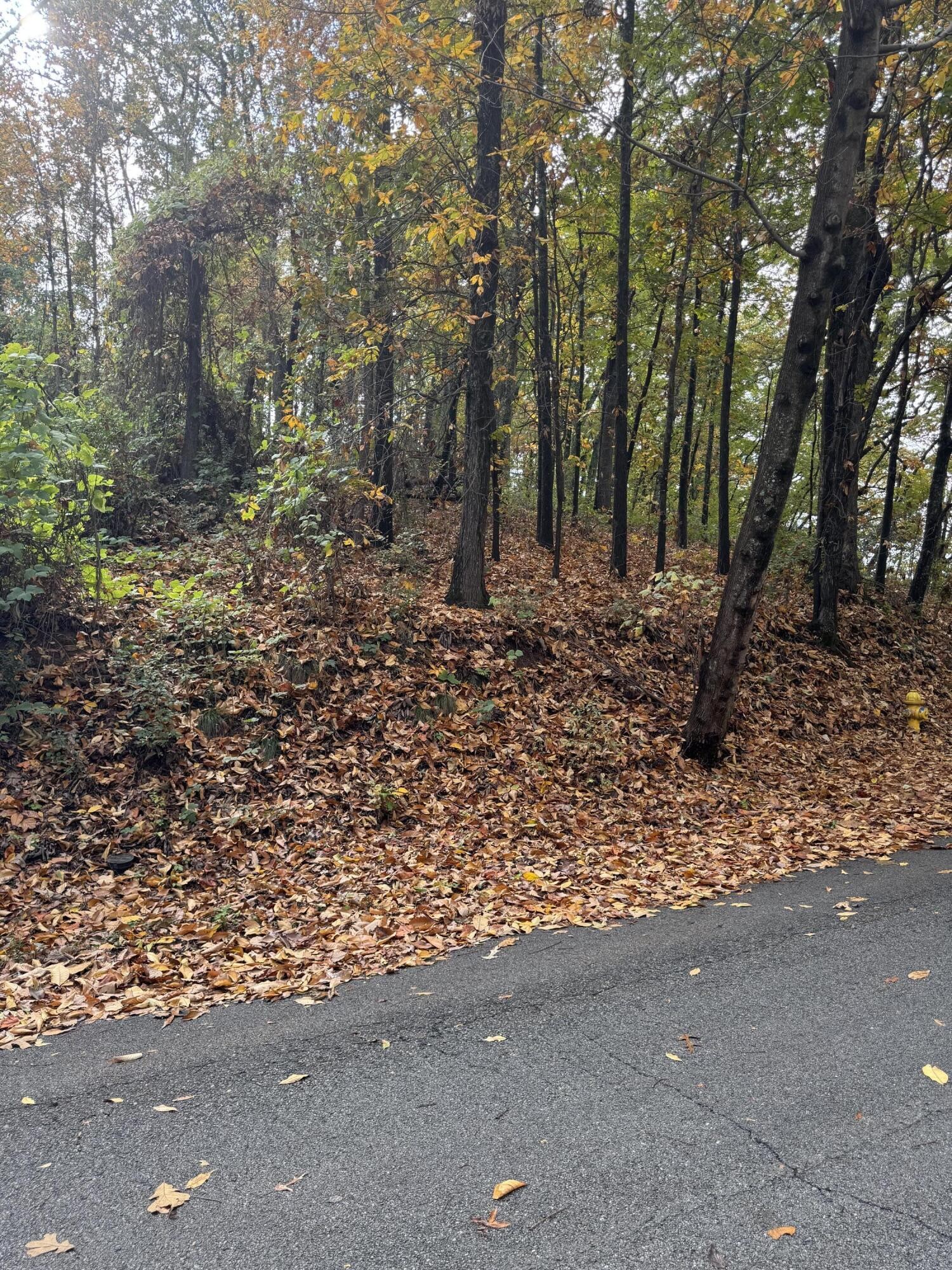 0 Clift Trail Property Photo