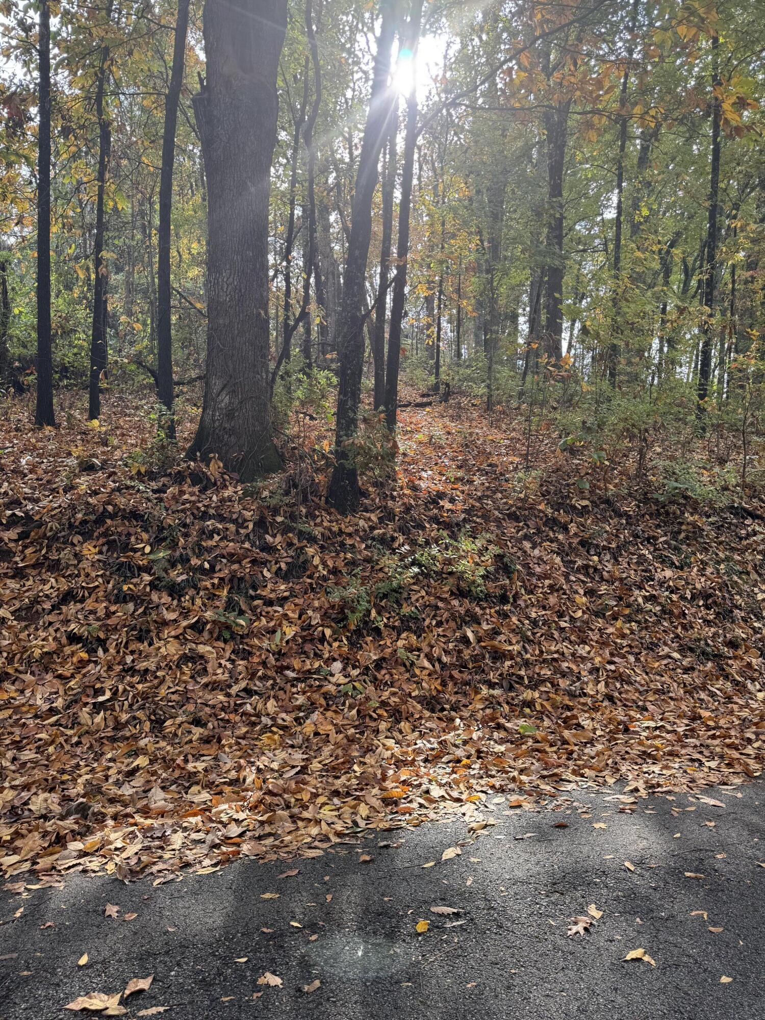 0 Clift Trail Property Photo 2