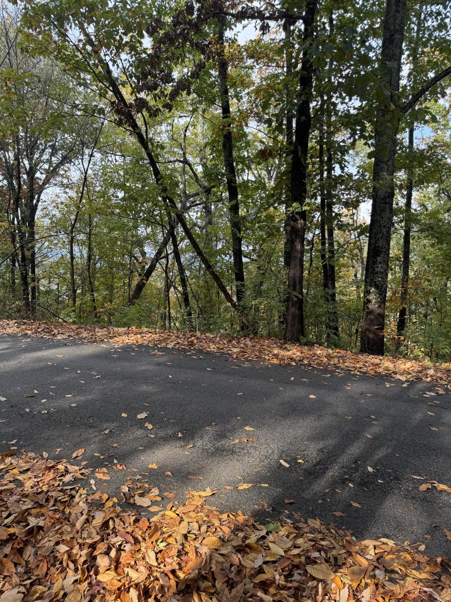 0 Clift Trail Property Photo 3