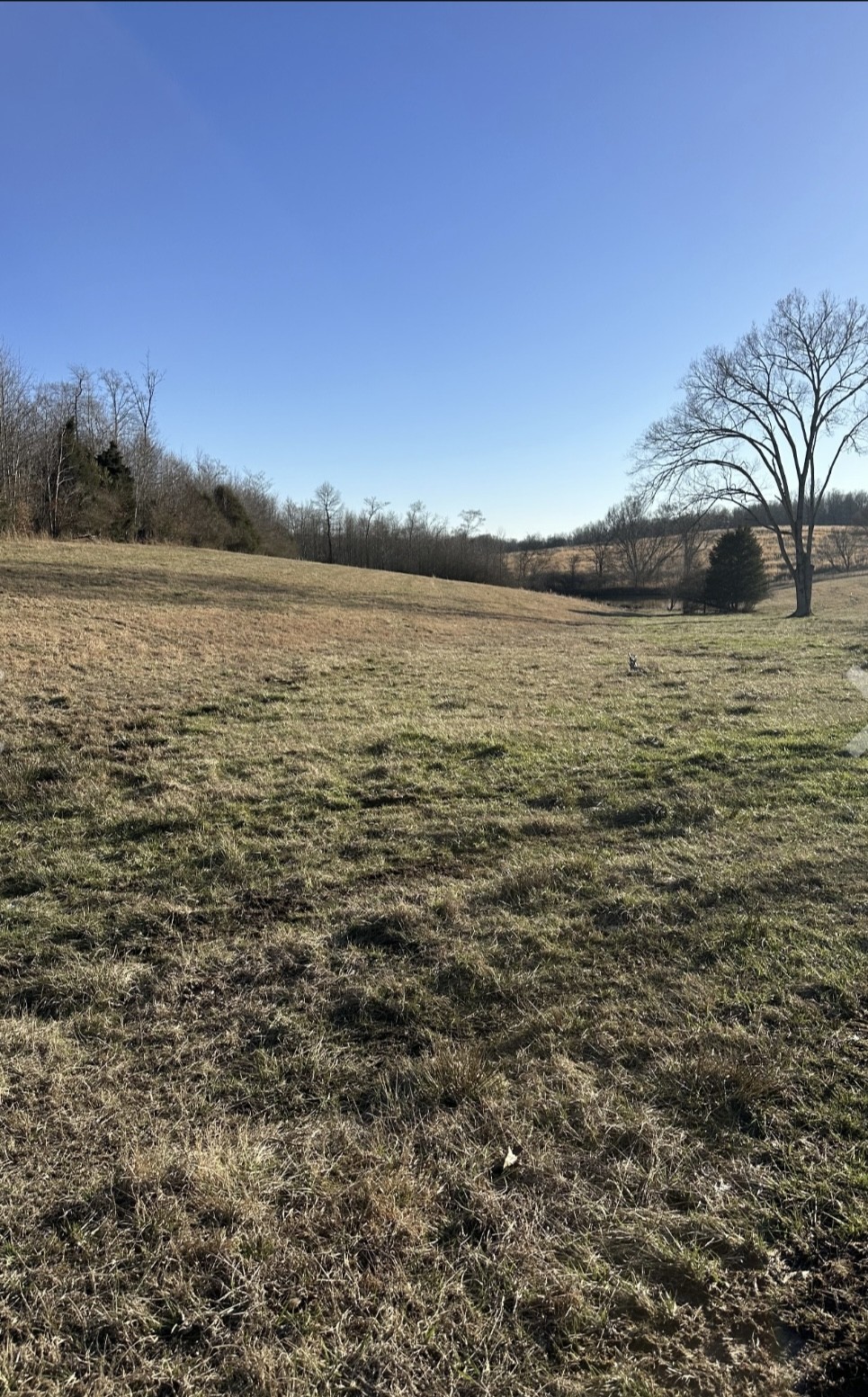 0 Celina Rd Property Photo 3