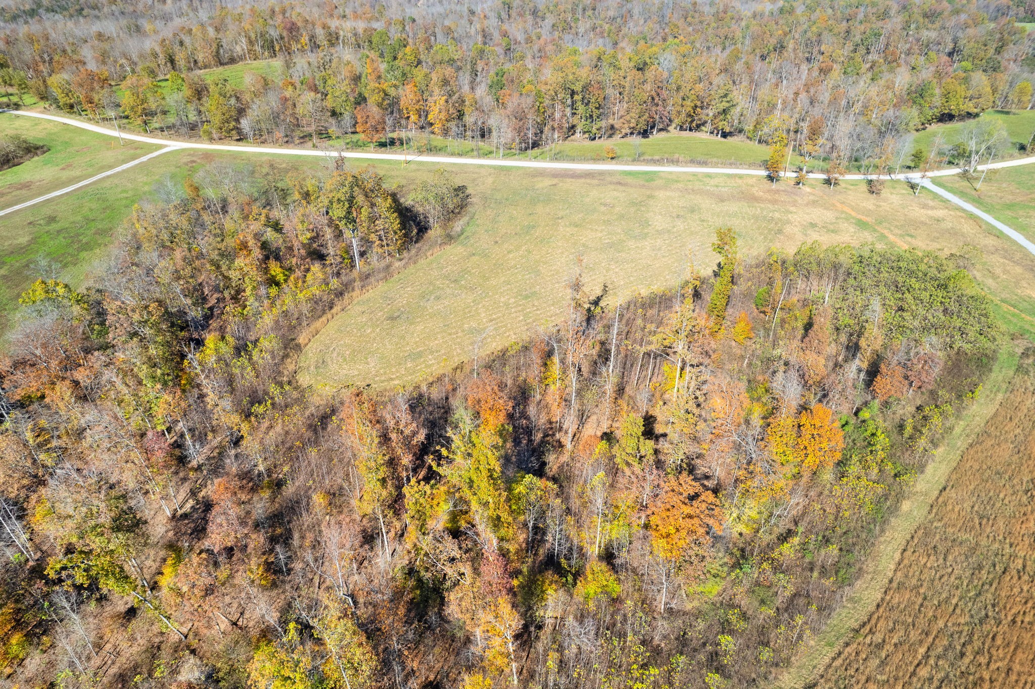742 Moore Hollow Rd Property Photo 9