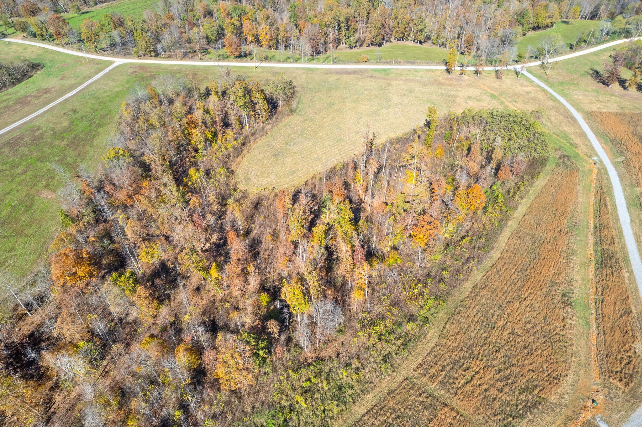 742 Moore Hollow Rd Property Photo 10