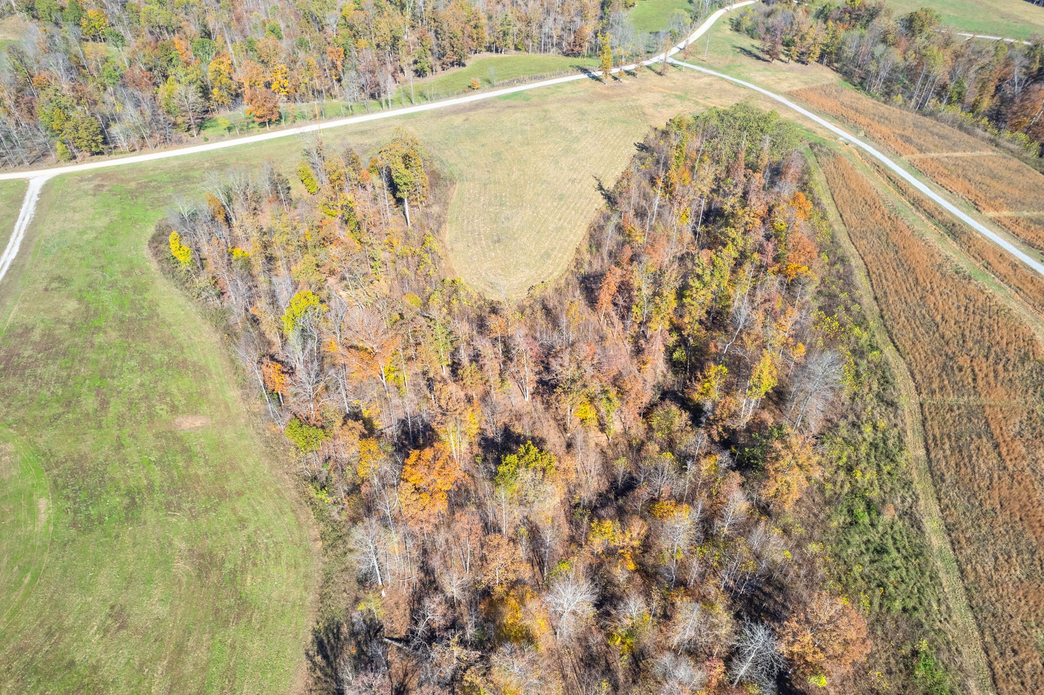 742 Moore Hollow Rd Property Photo 11