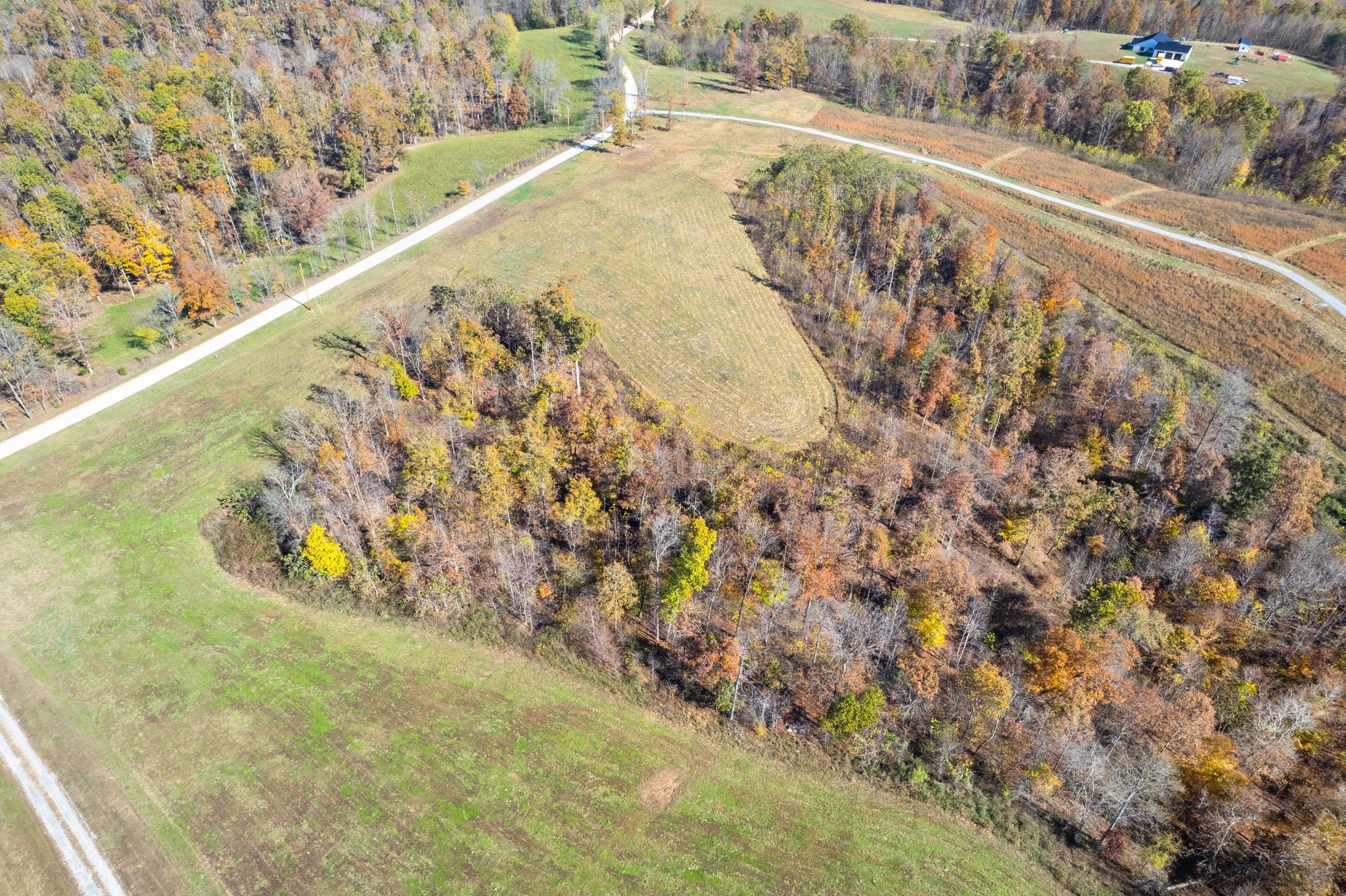 742 Moore Hollow Rd Property Photo 13