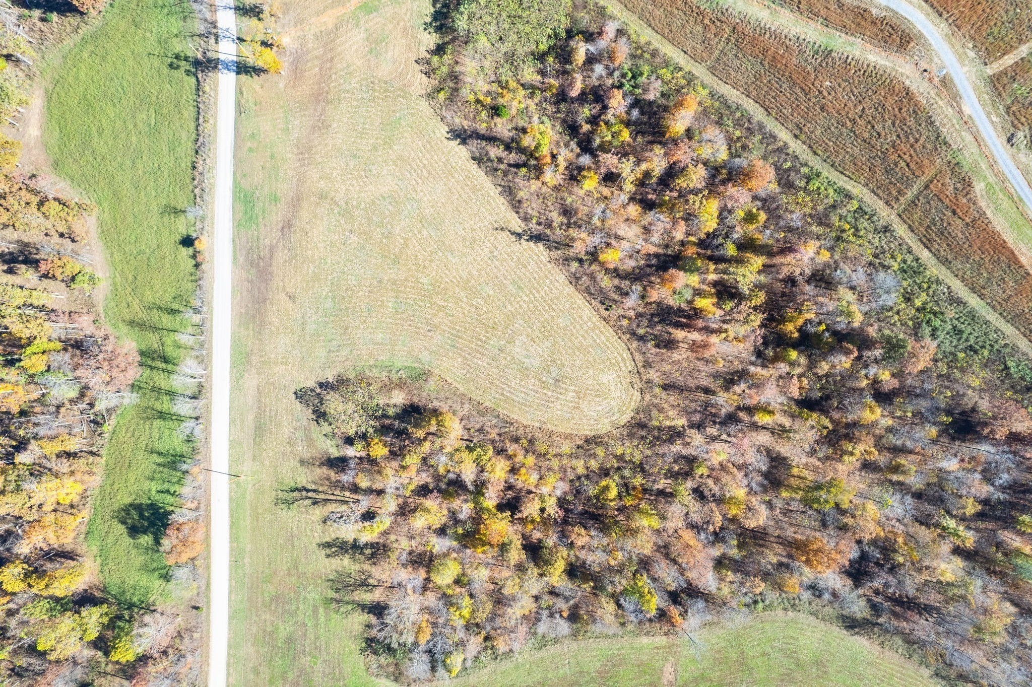 742 Moore Hollow Rd Property Photo 17