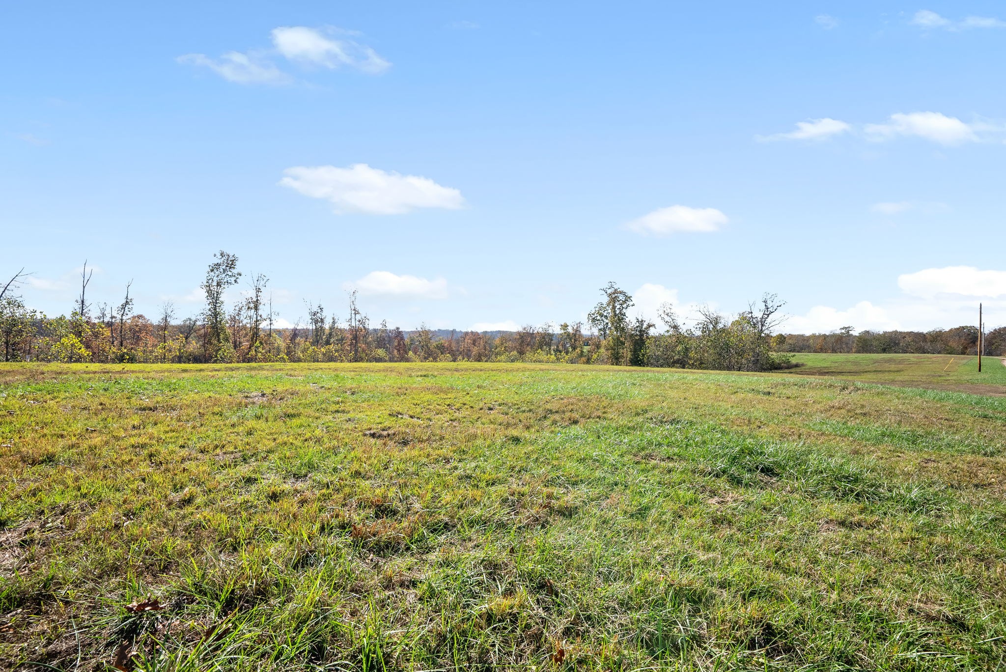 742 Moore Hollow Rd Property Photo 18
