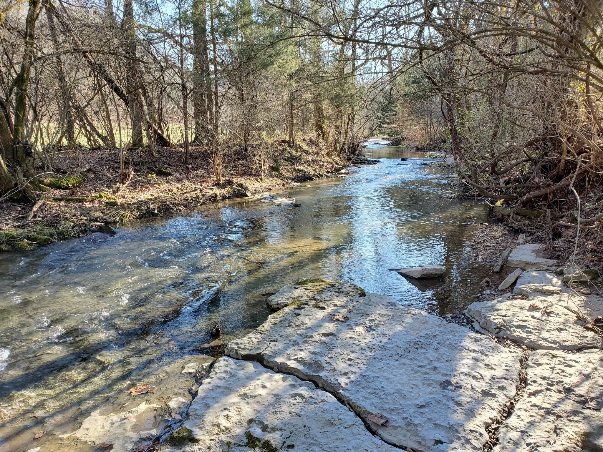 7412 River Road Pike Property Photo 1