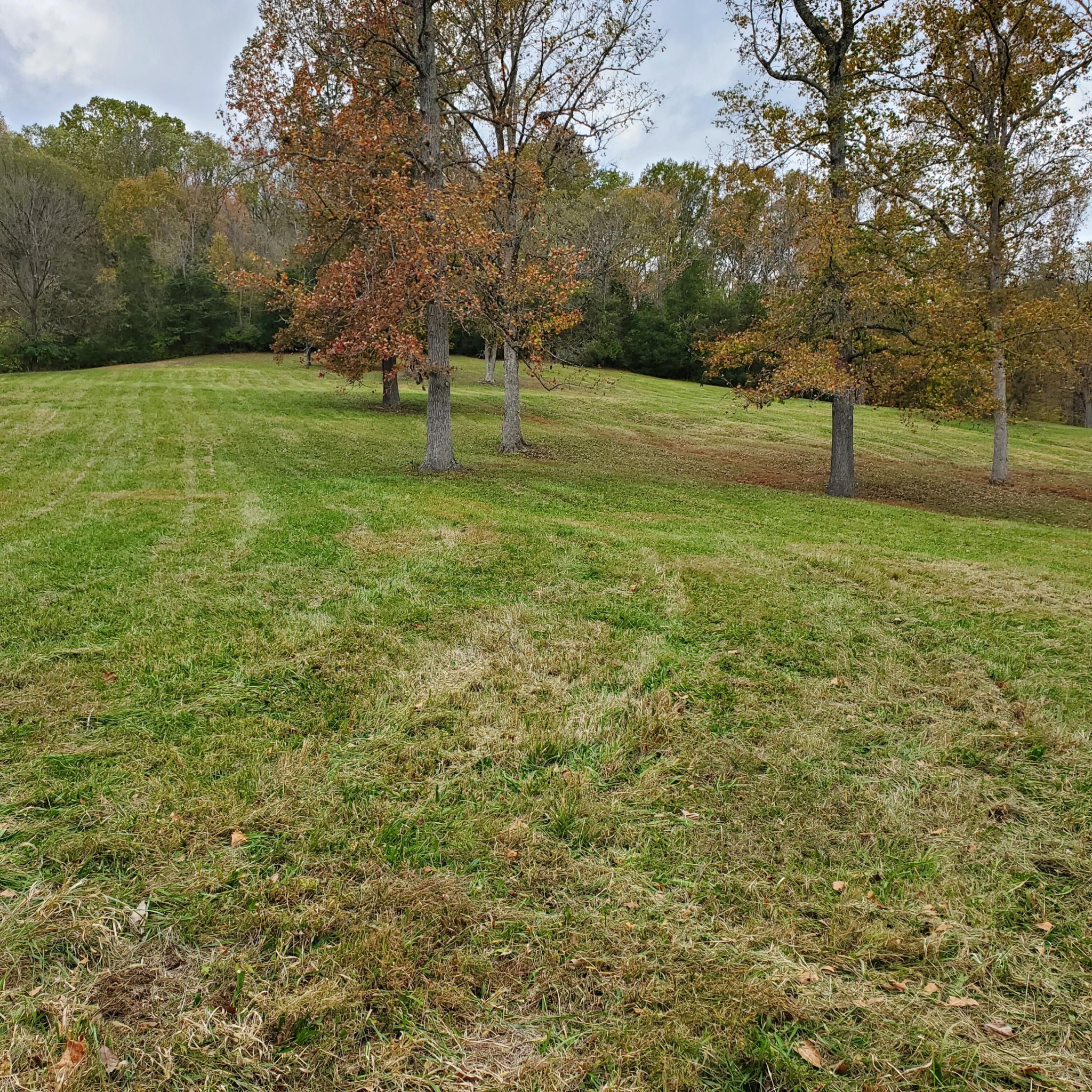 7412 River Road Pike Property Photo 3