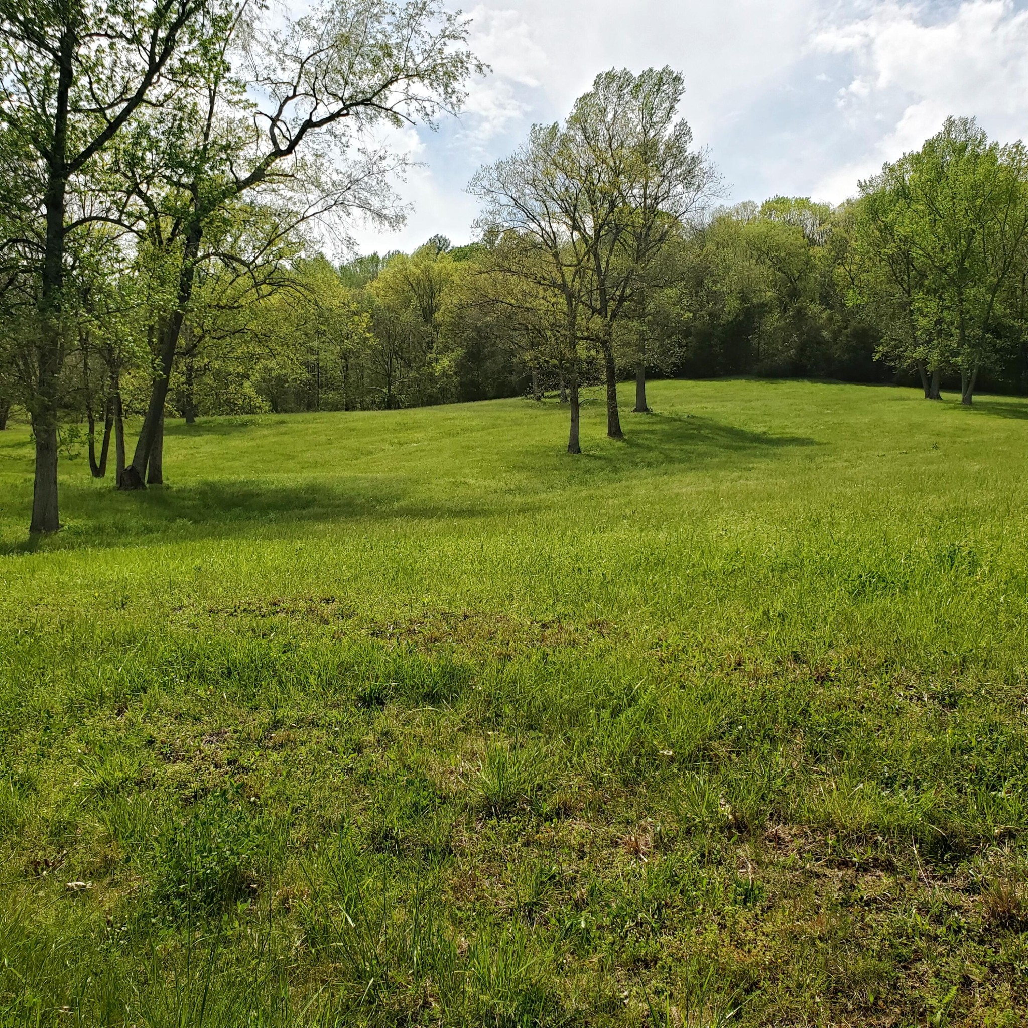7412 River Road Pike Property Photo 4