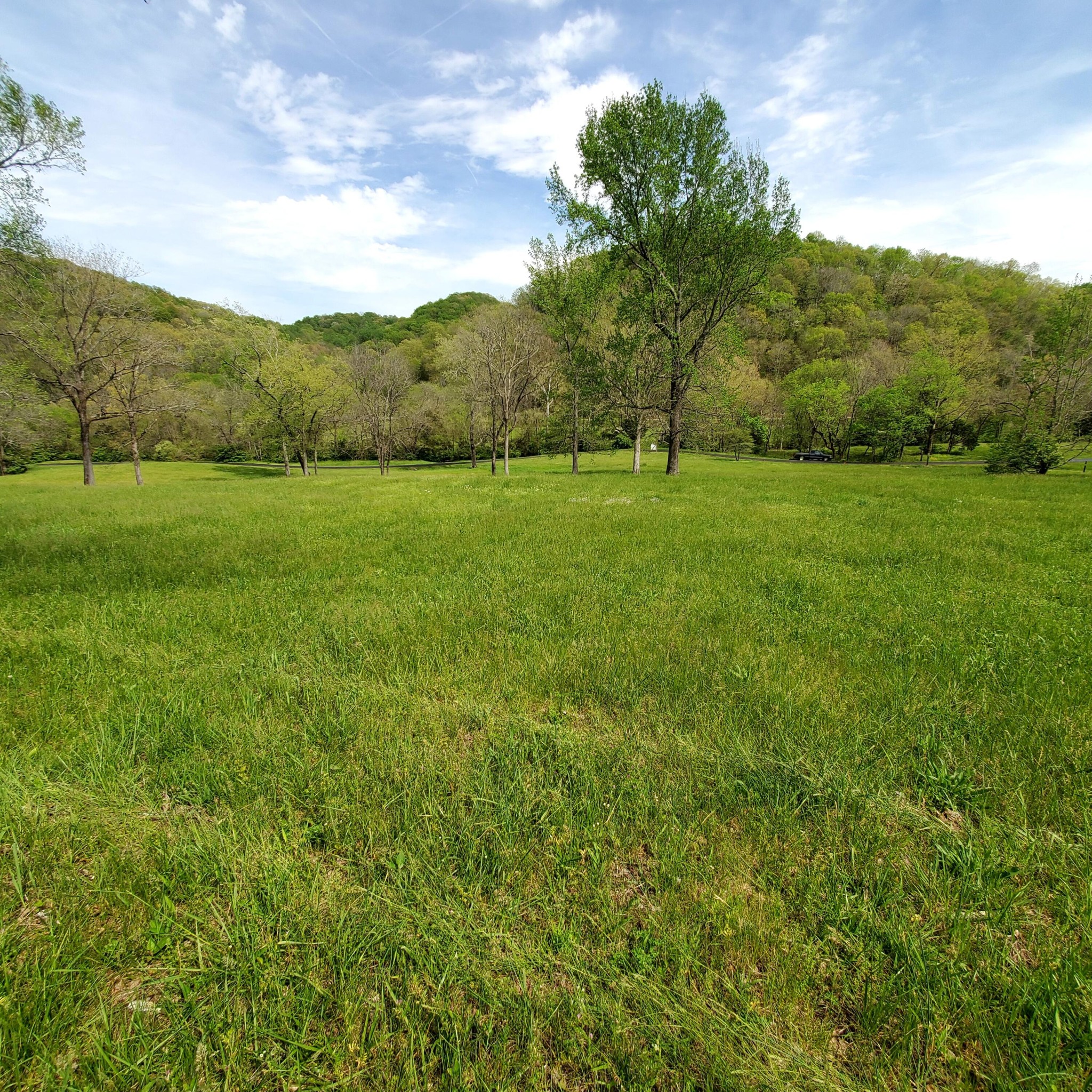 7412 River Road Pike Property Photo 5
