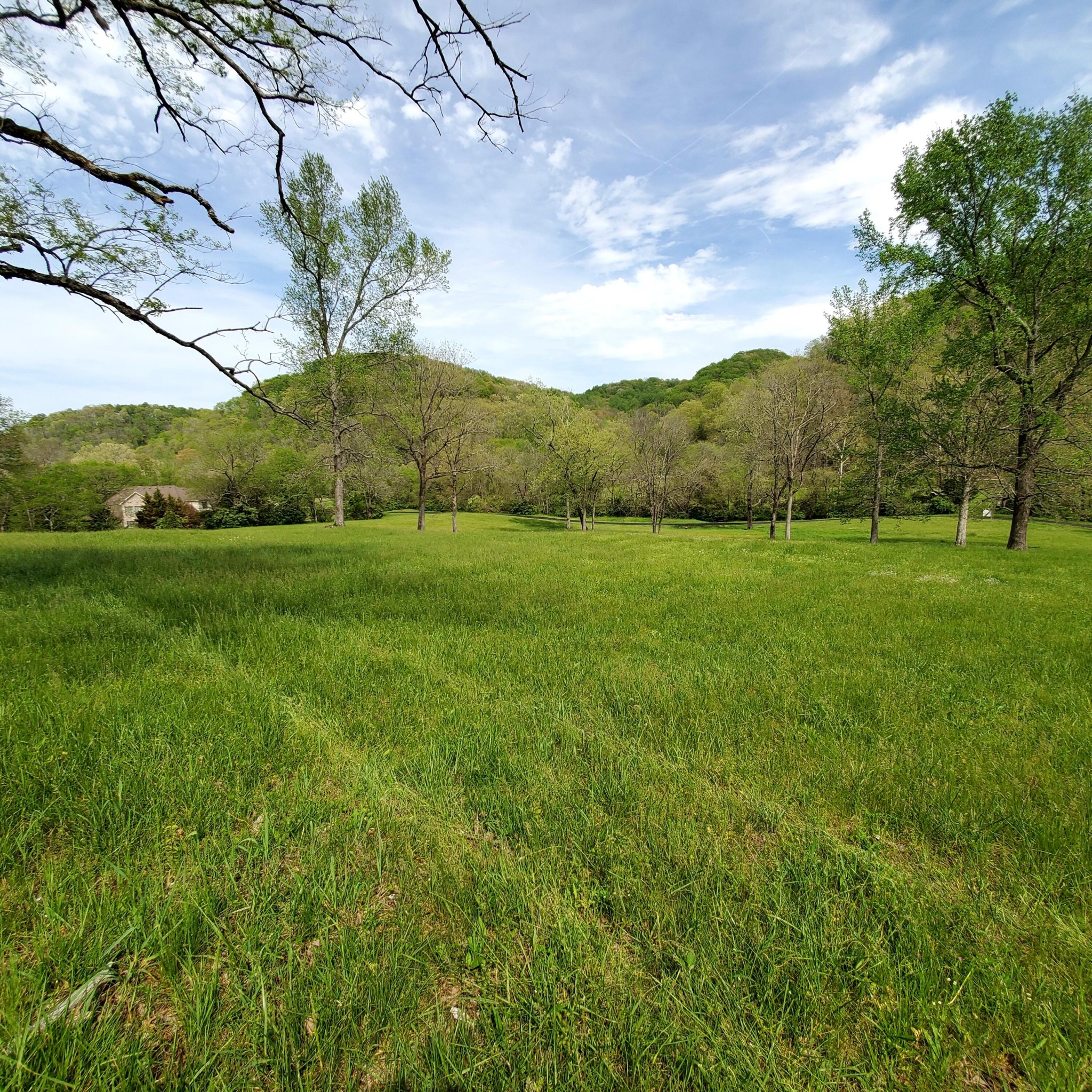 7412 River Road Pike Property Photo 6