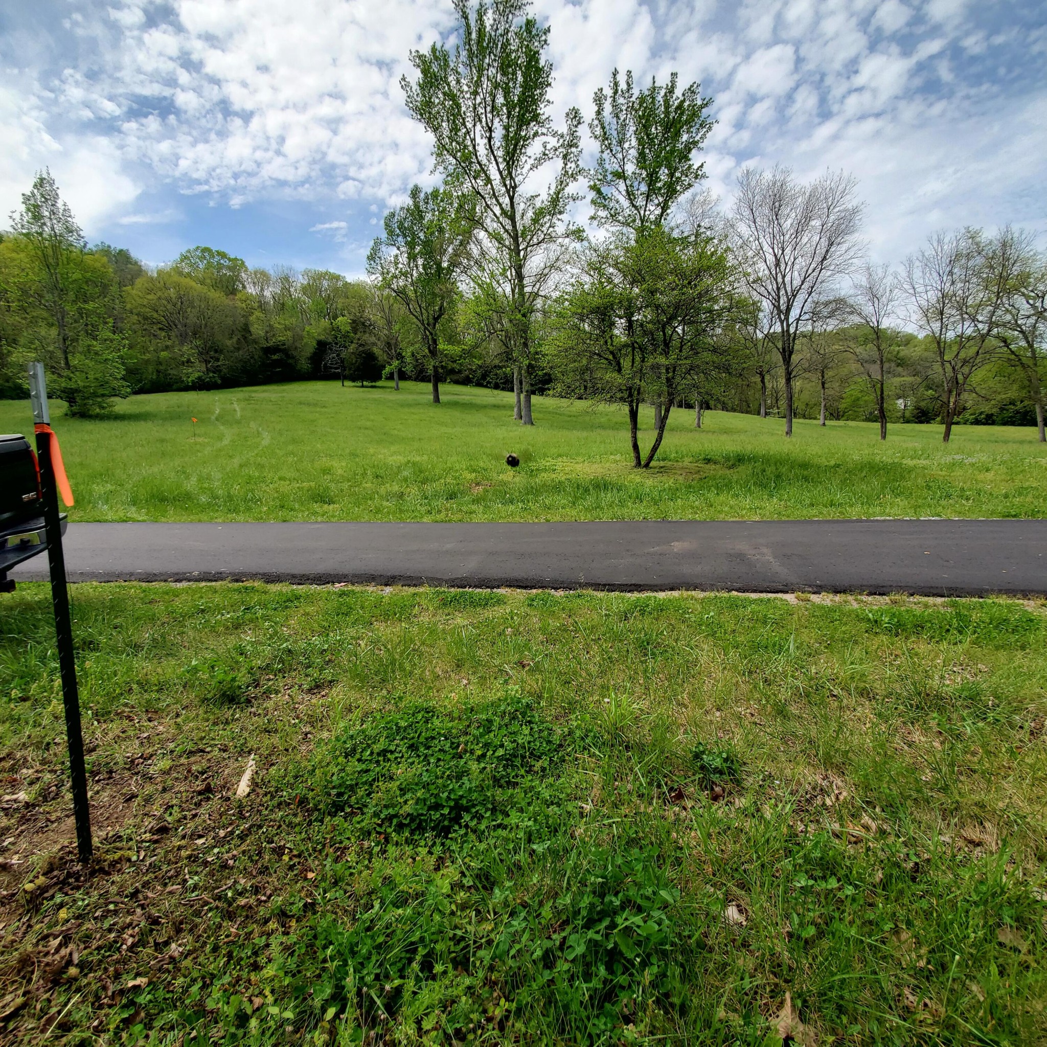 7412 River Road Pike Property Photo 10