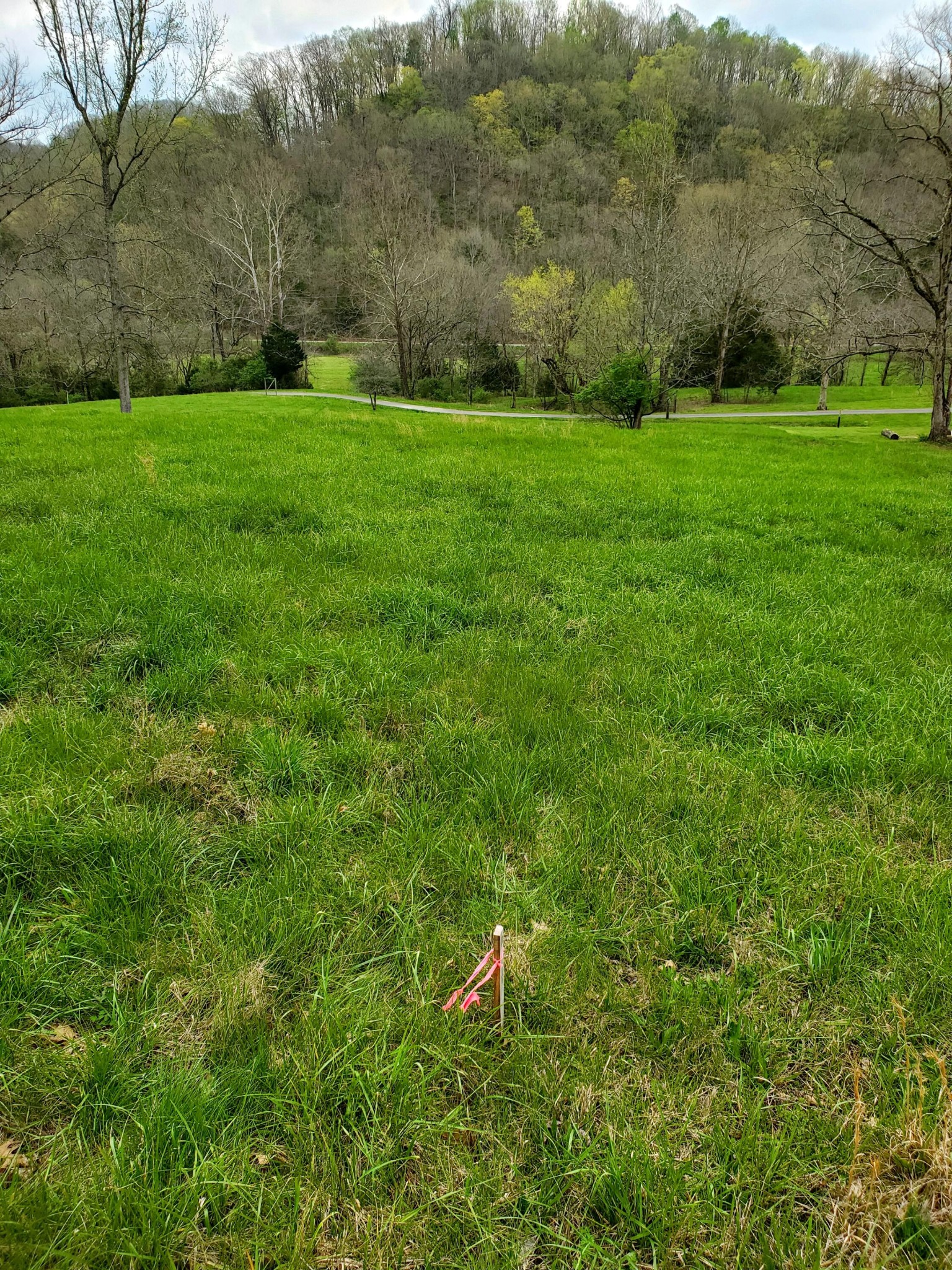 7412 River Road Pike Property Photo 23