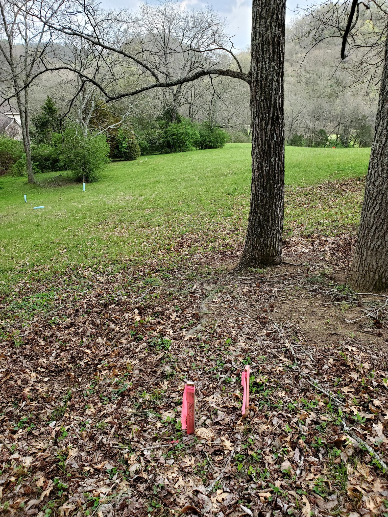 7412 River Road Pike Property Photo 25
