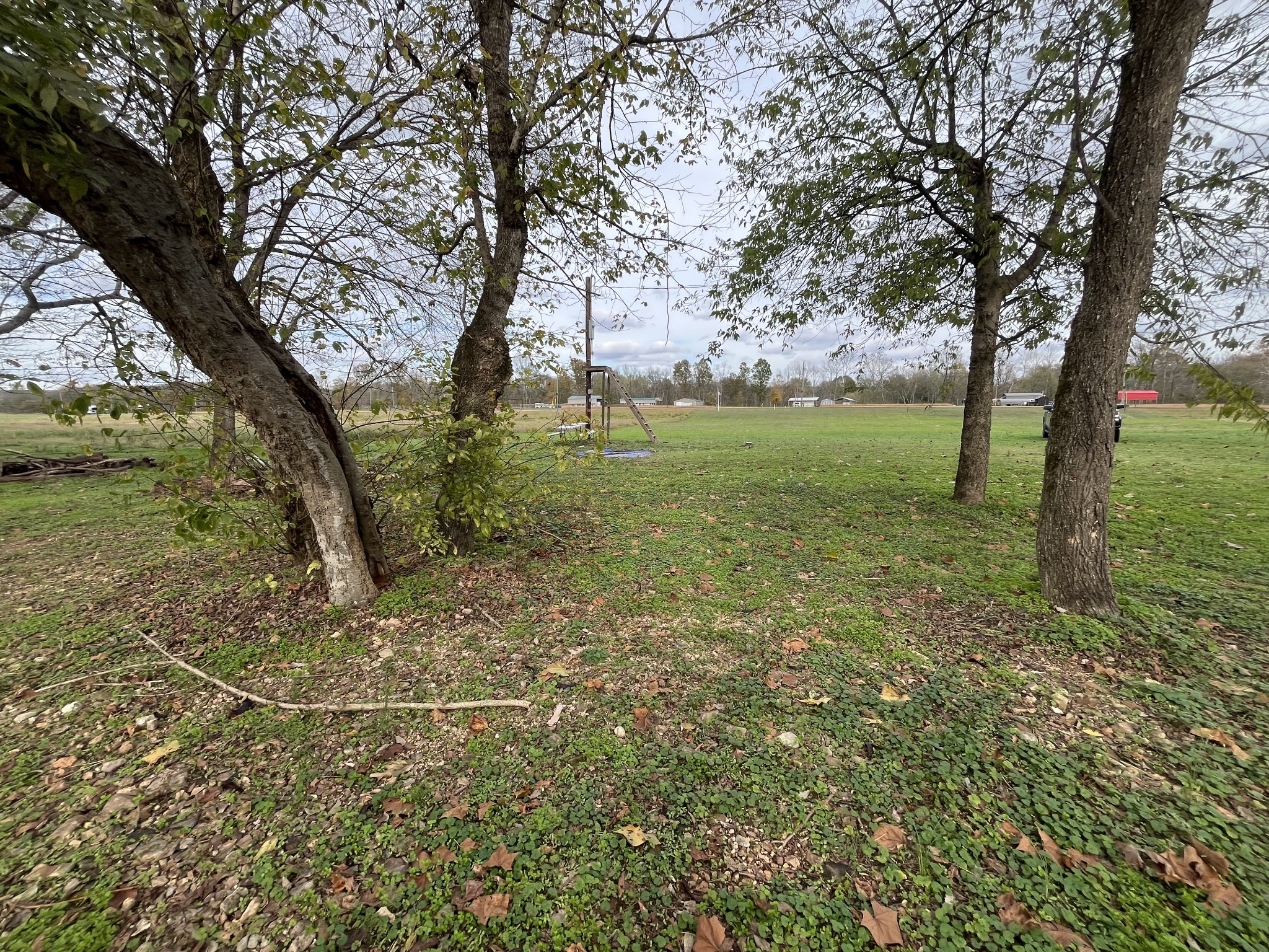 0 Alford Ray Rd Property Photo 13